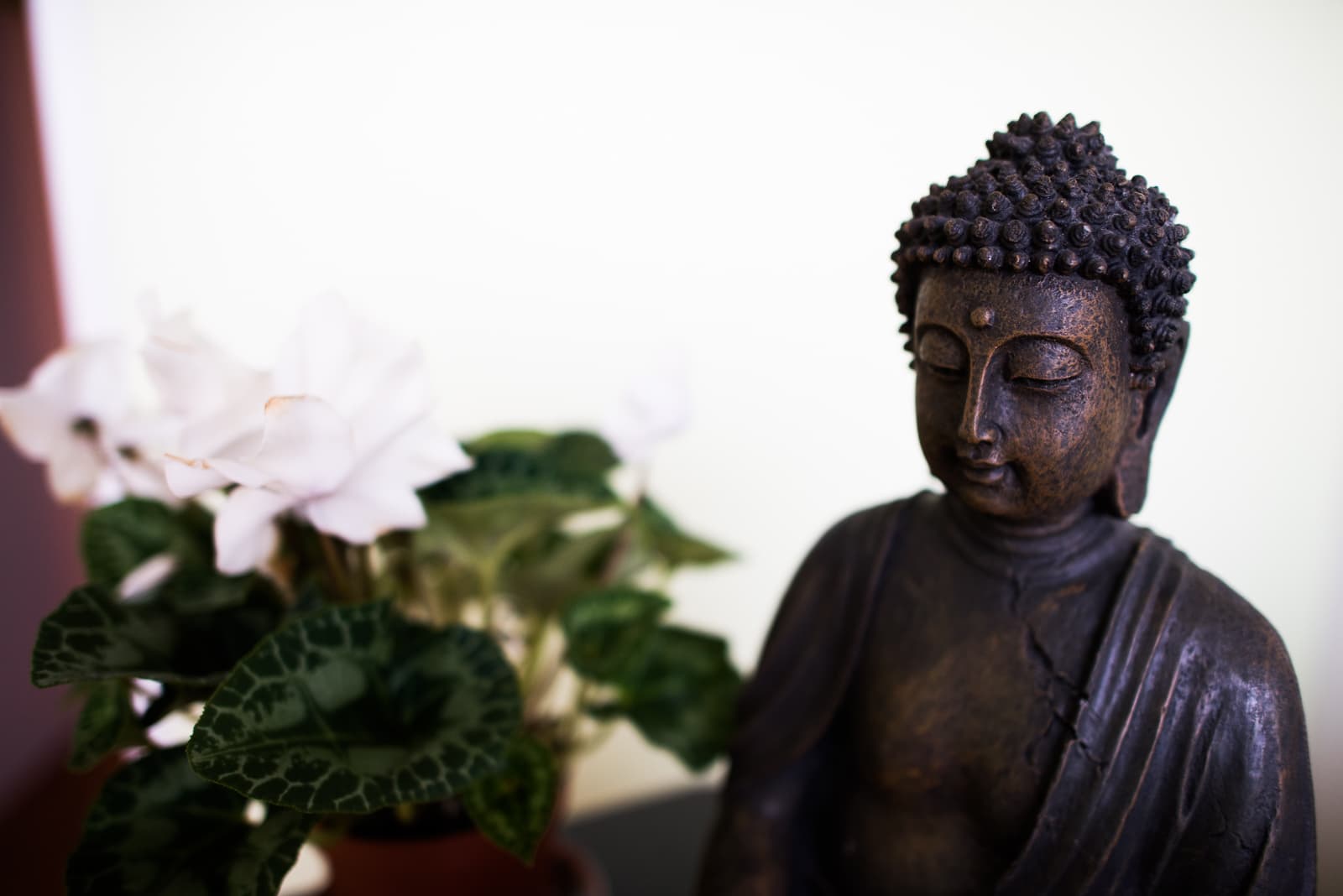 frisabai thai massage – Thai Massage in Fribourg