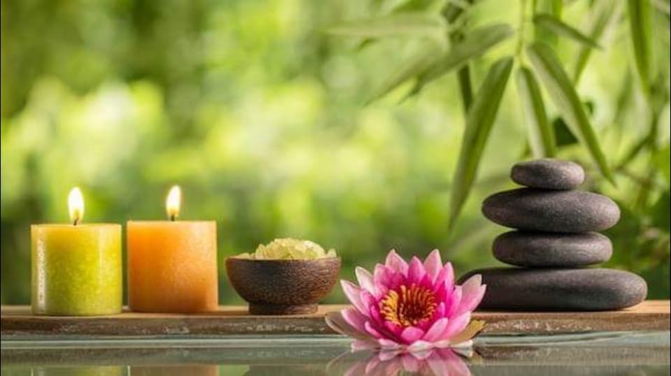 teate Magnolia di Laura Talleri – Thai Massage in Lugano