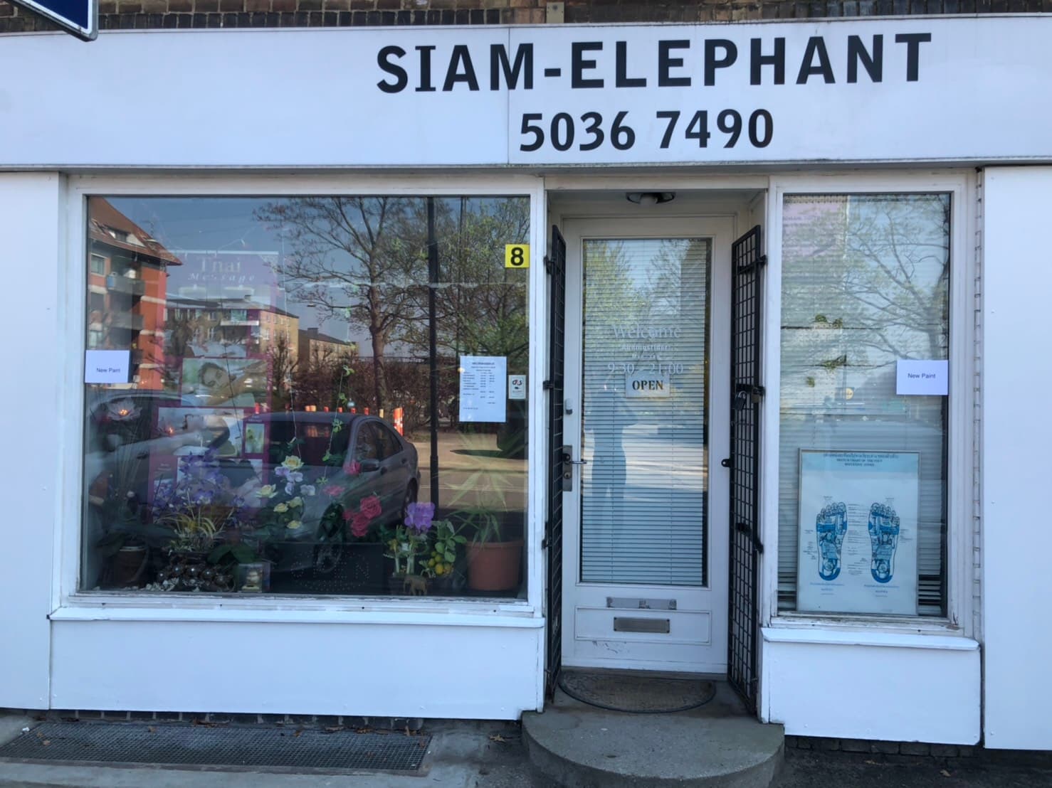 Billede 3 af Siam-Elephant