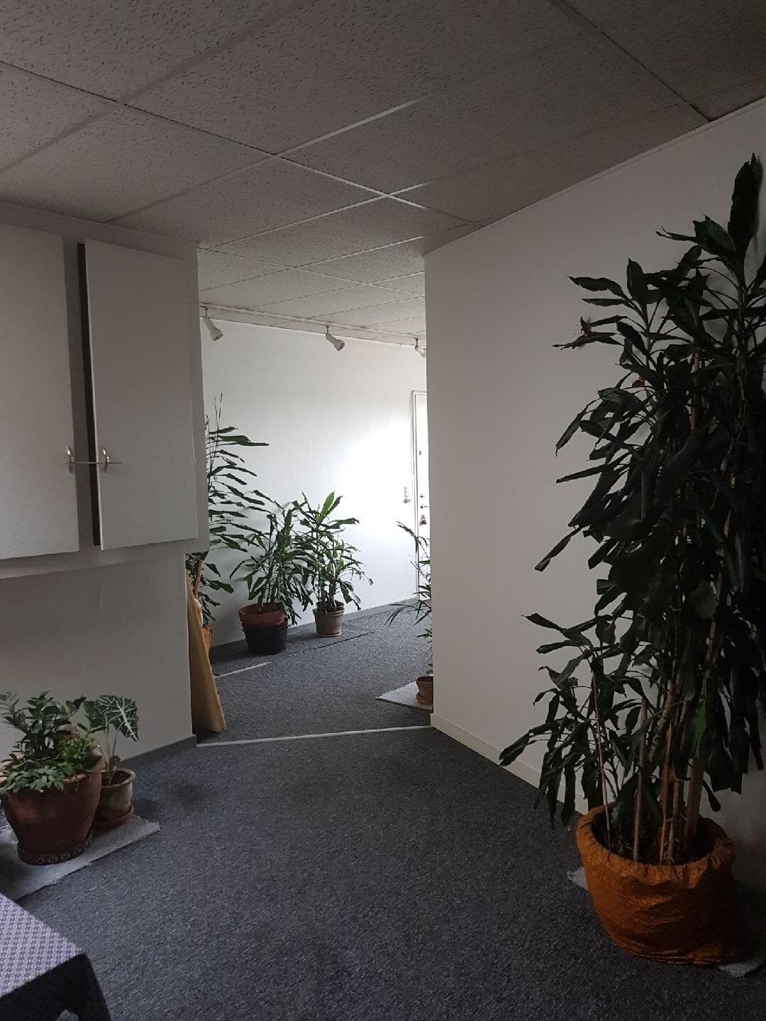 Billede 3 af Herlev Thai Wellness