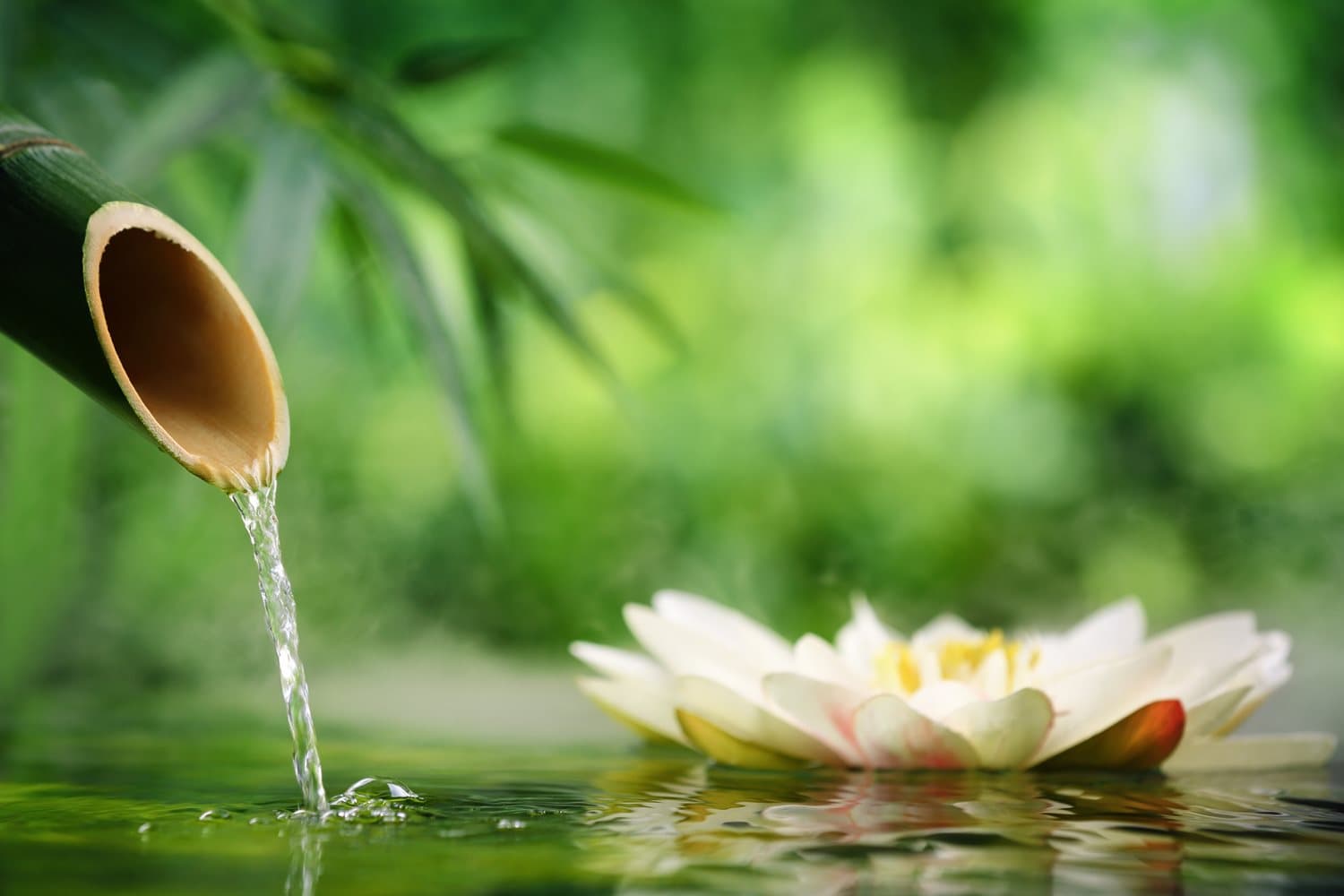 Billede 2 af Silkeborg Thai Massage