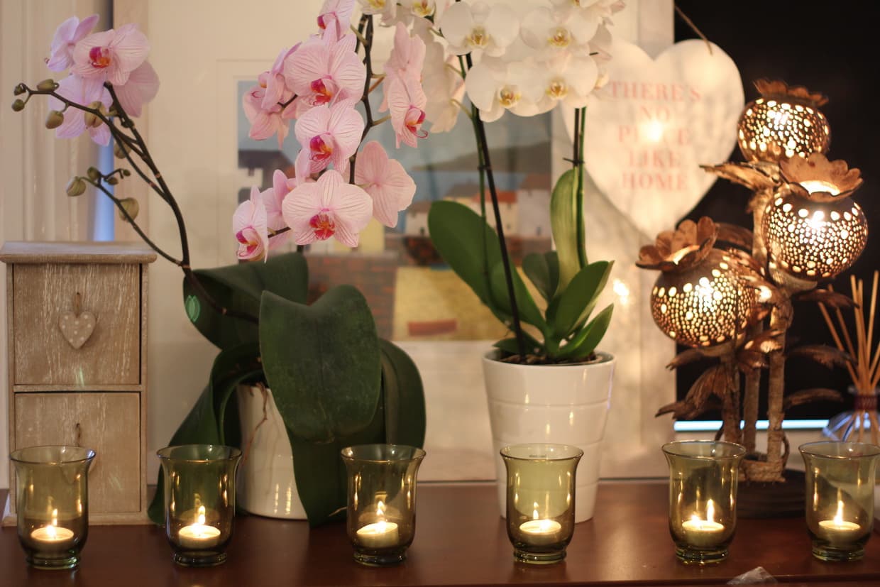 Photo 3 of Thai Siam Massage & Beauty Under New Management