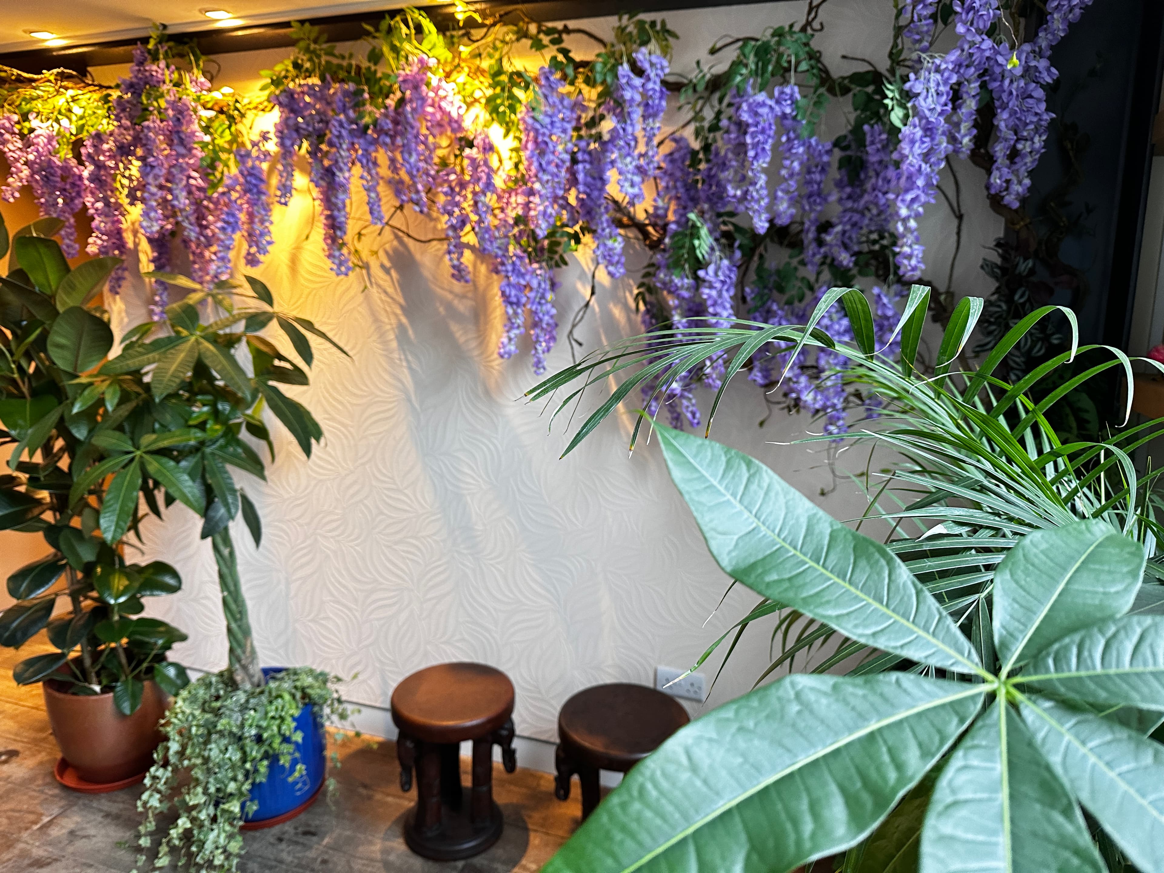 Thai Garden Massage Therapy – Thai massage in London