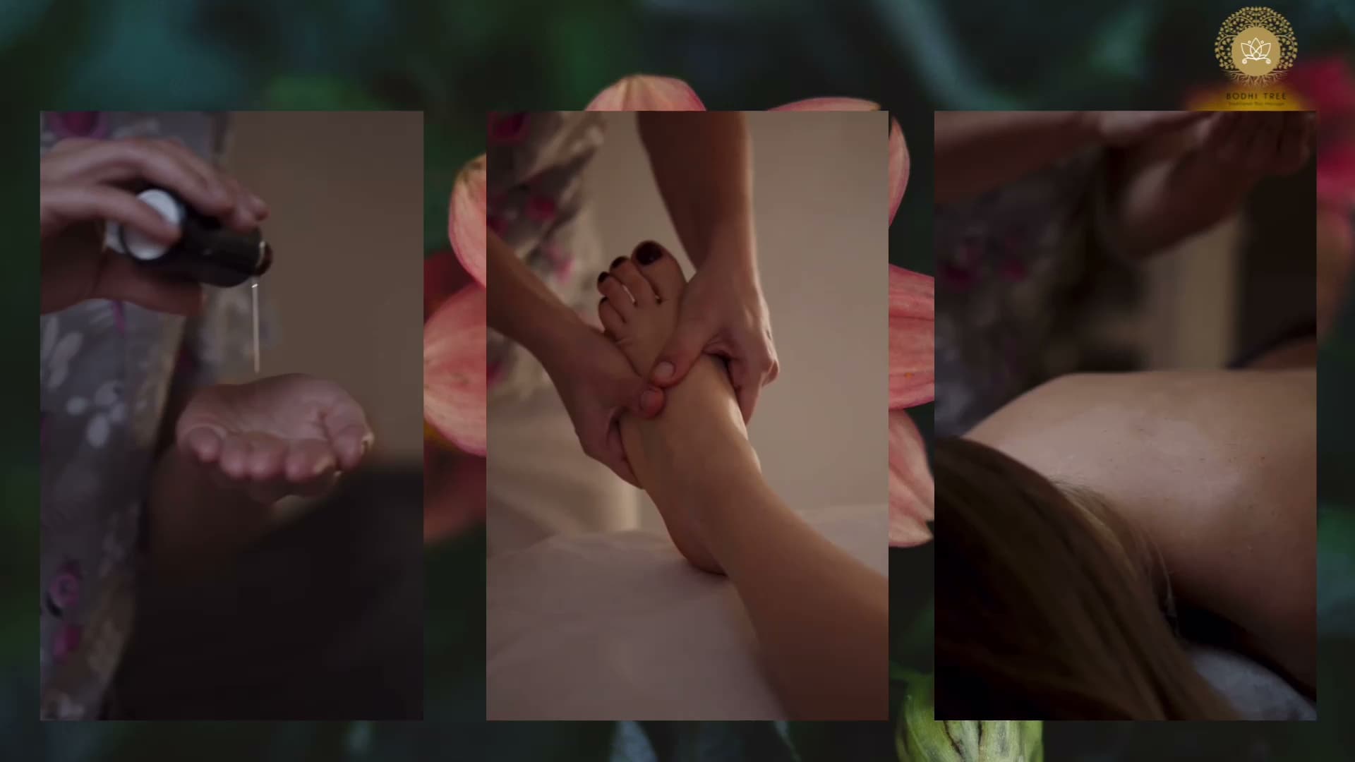 Photo 3 of Bodhi Tree Traditional Thai Massage
