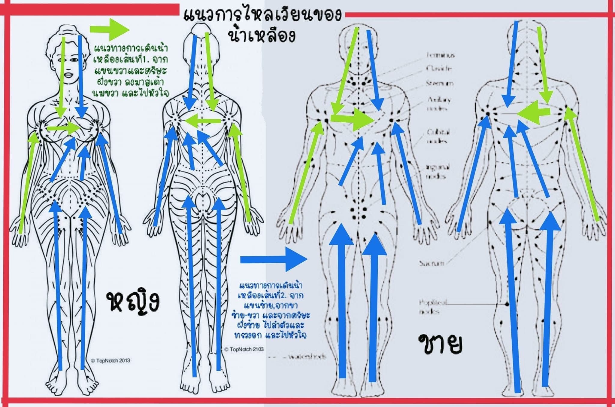 Prasit House Thai Massage & Spa Cottingham – Thai massage in Hull