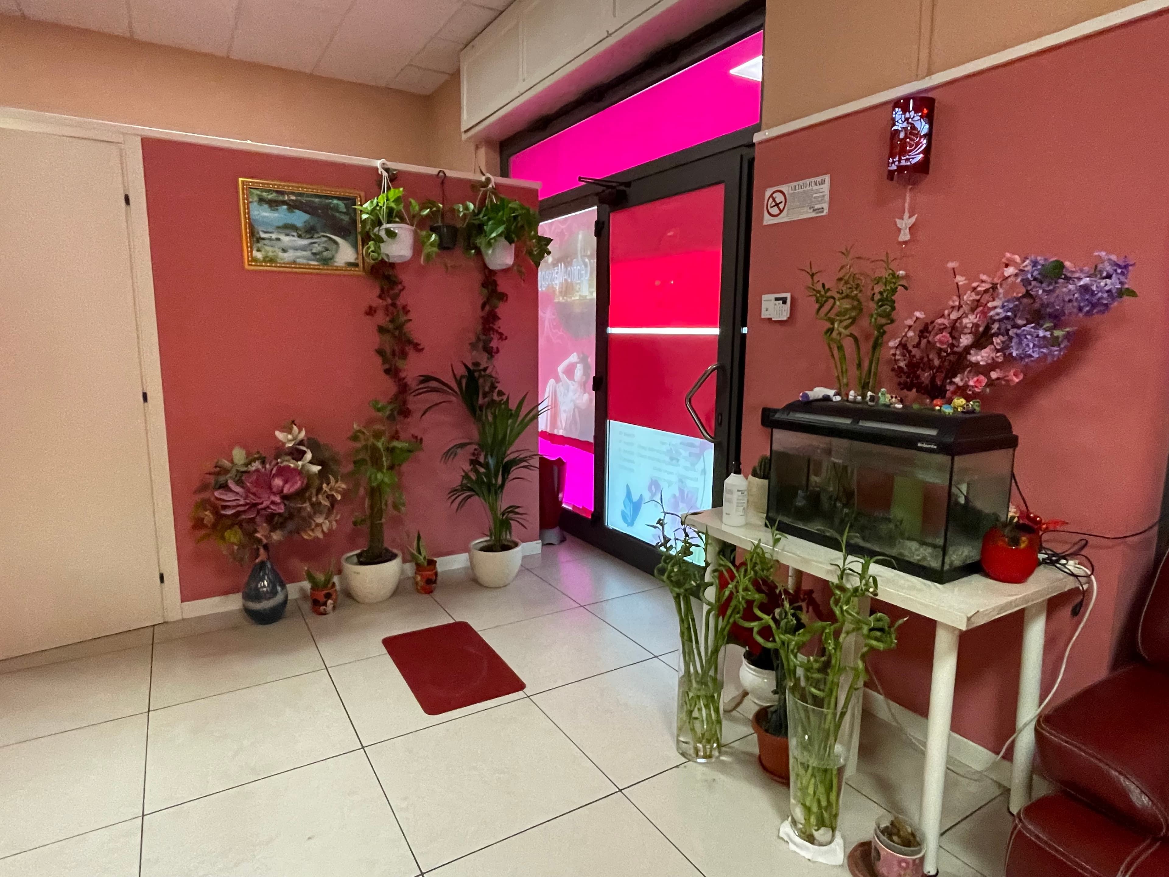 Centro massaggi orientale – massaggio thai in Cremona