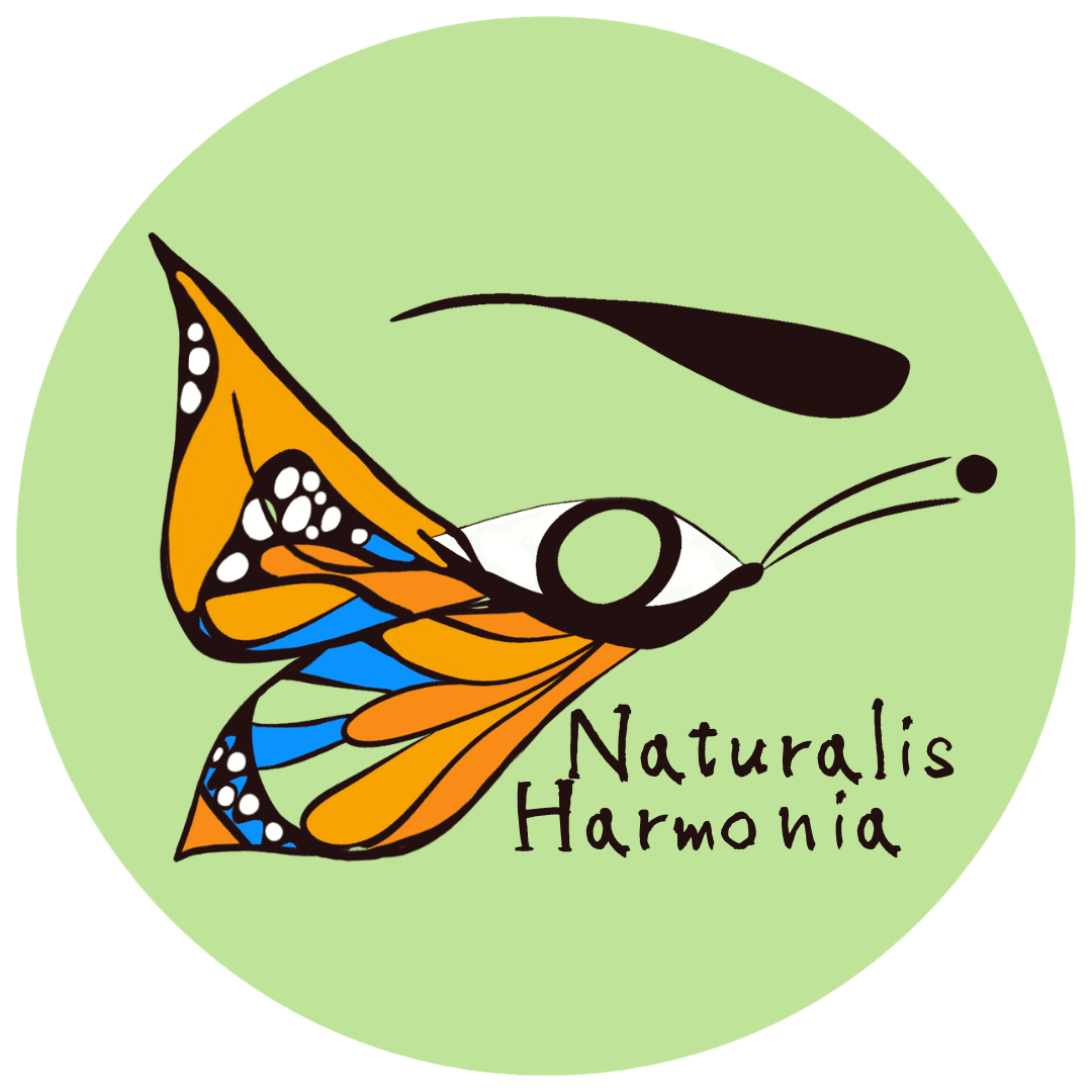 Naturalis Harmonia – massaggio thai in Genoa
