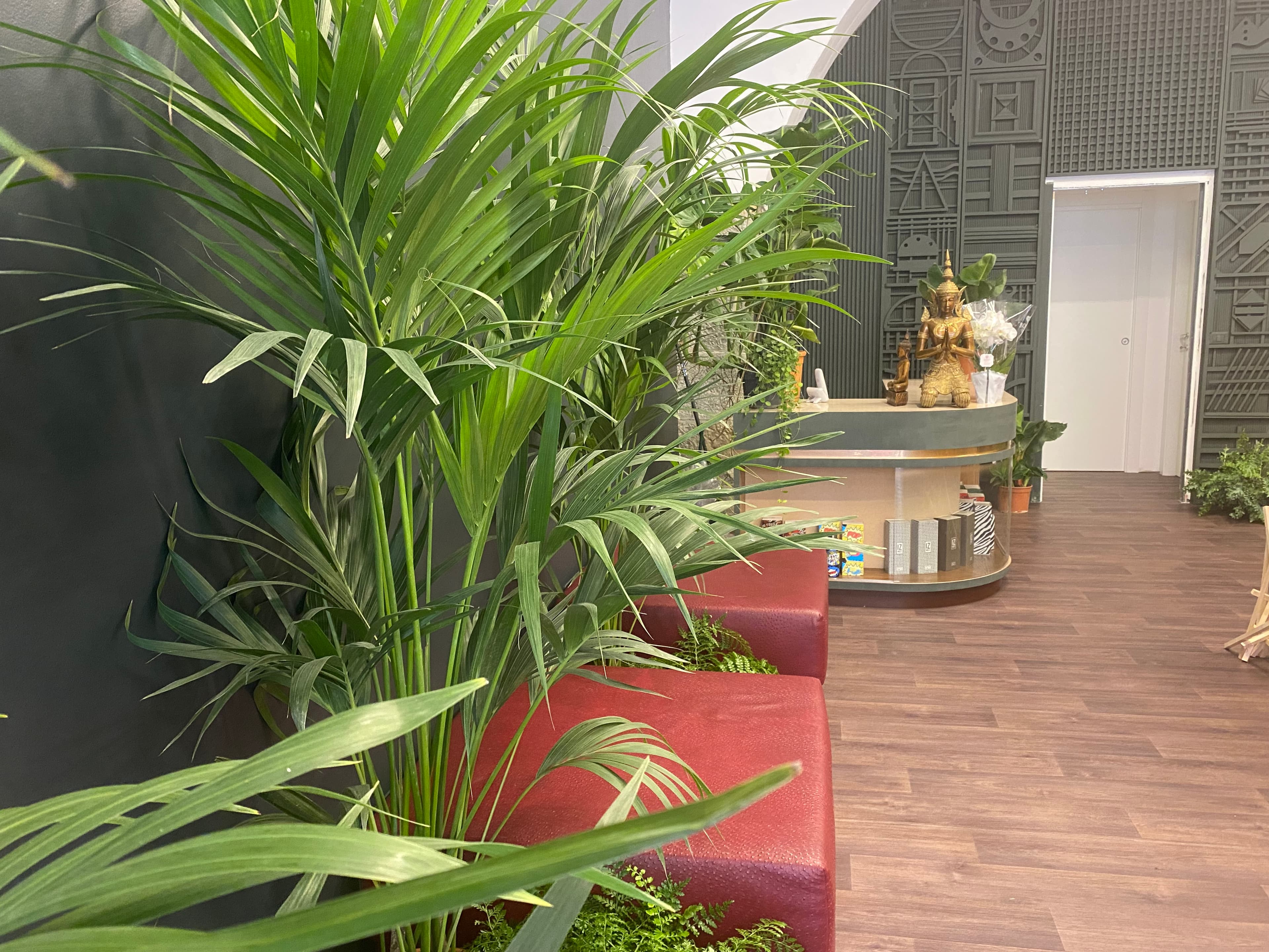 City Thai Massage – massaggio thai in Trieste