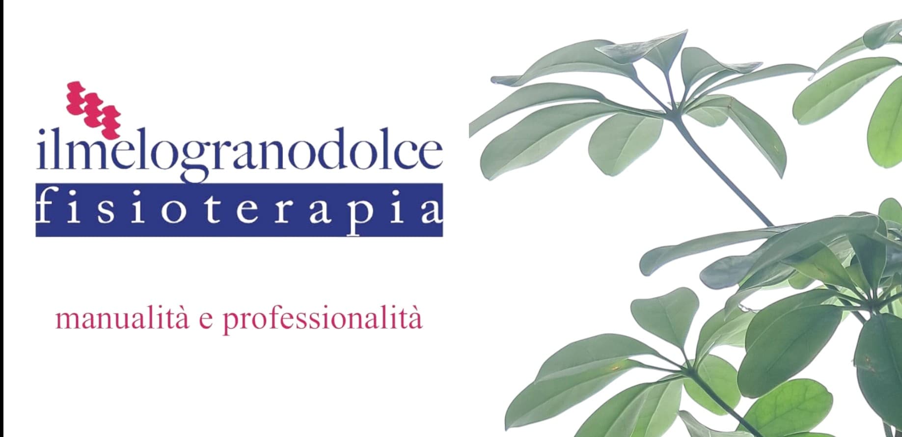 Foto 3 di ilmelogranodolce fisioterapia