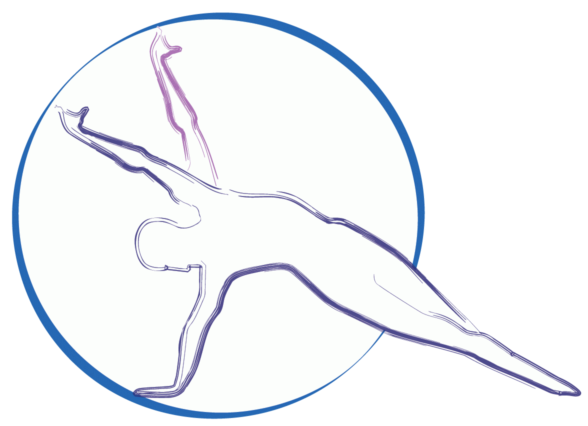 ilmelogranodolce fisioterapia – massaggio thai in Pescara