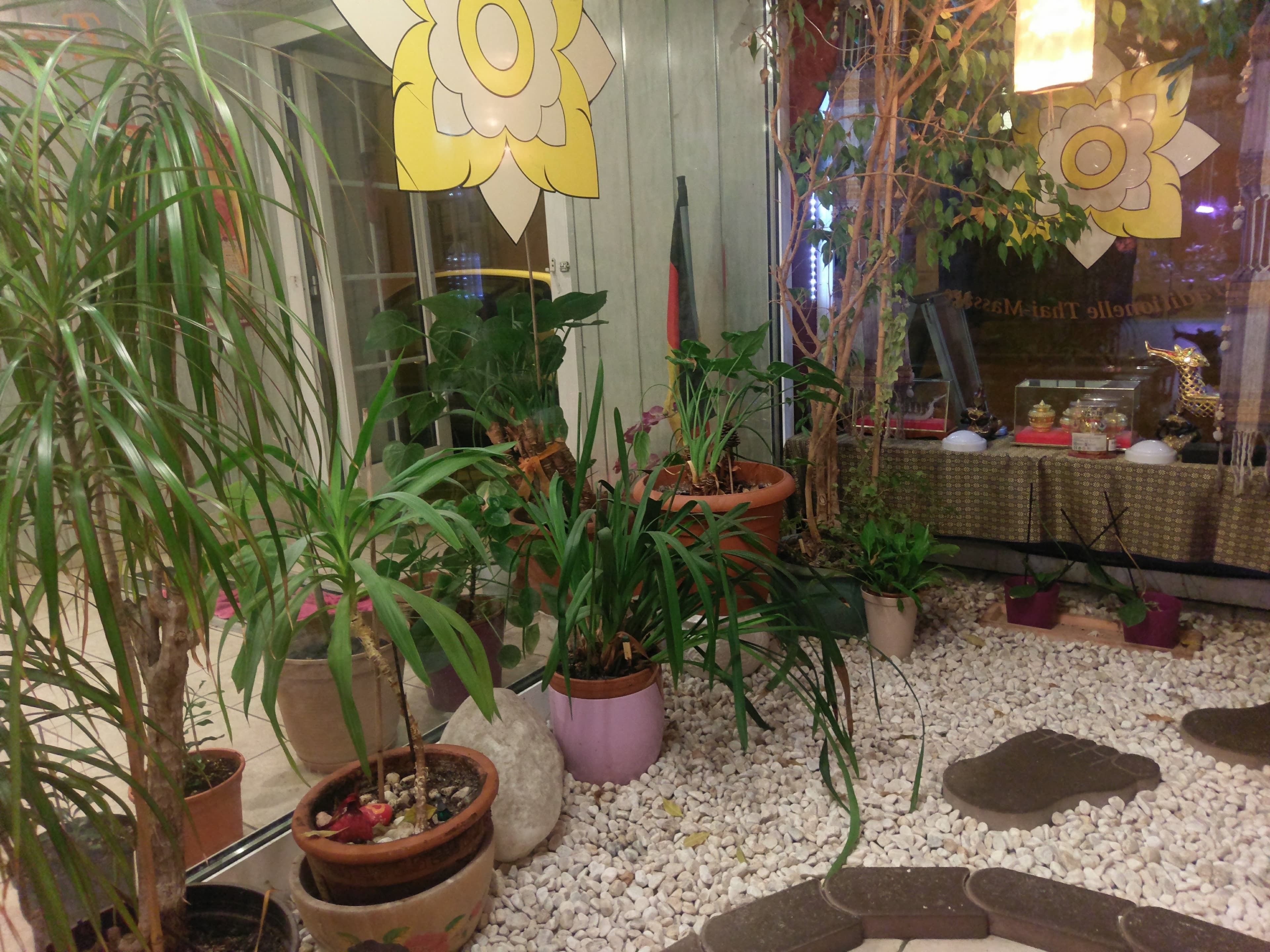 Suthinee Thaimassage – Thai Massage in Heidelberg