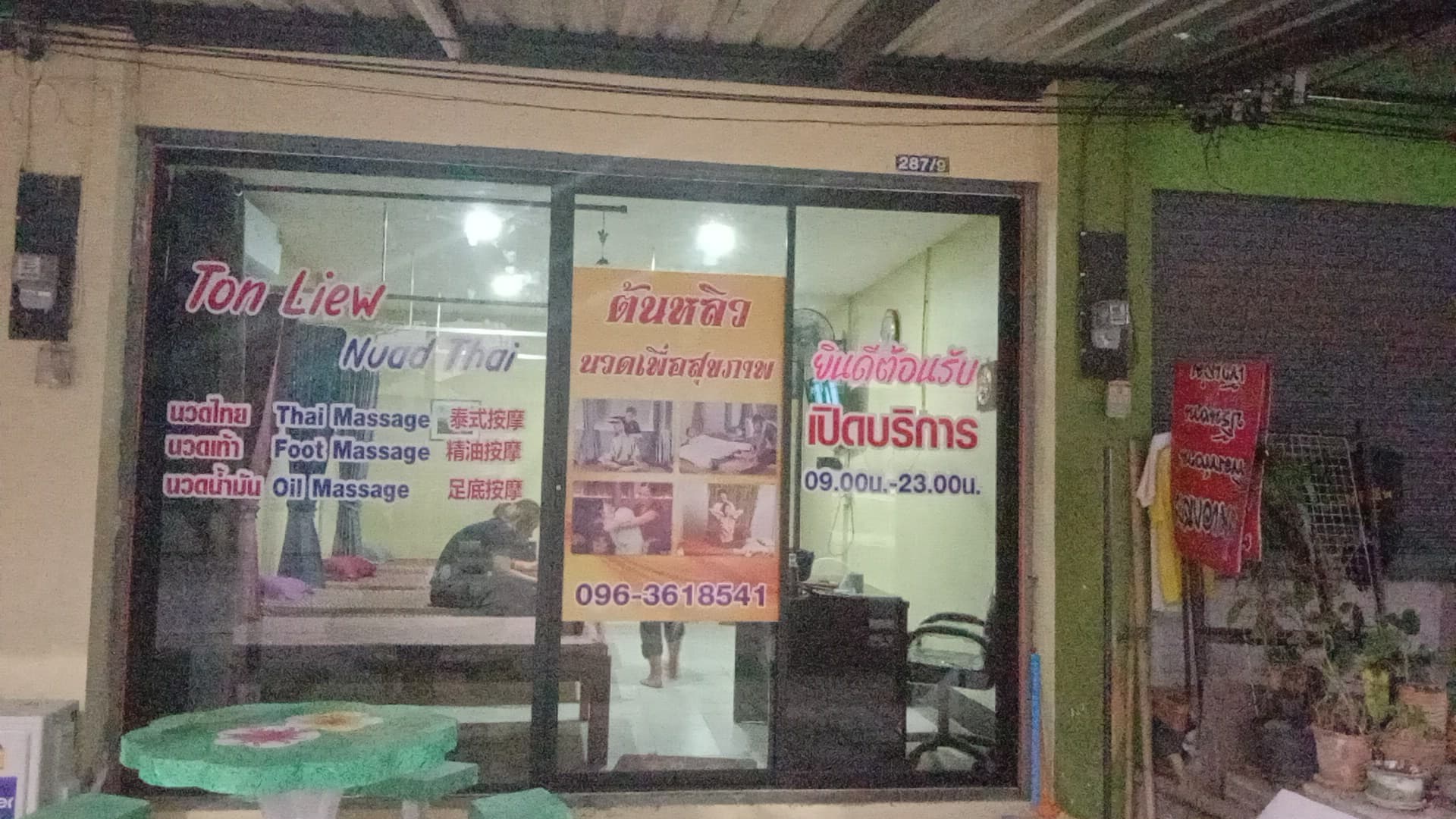 ภาพ 3 ของ ต้นหลิวนวดเพื่อสุขภาพ