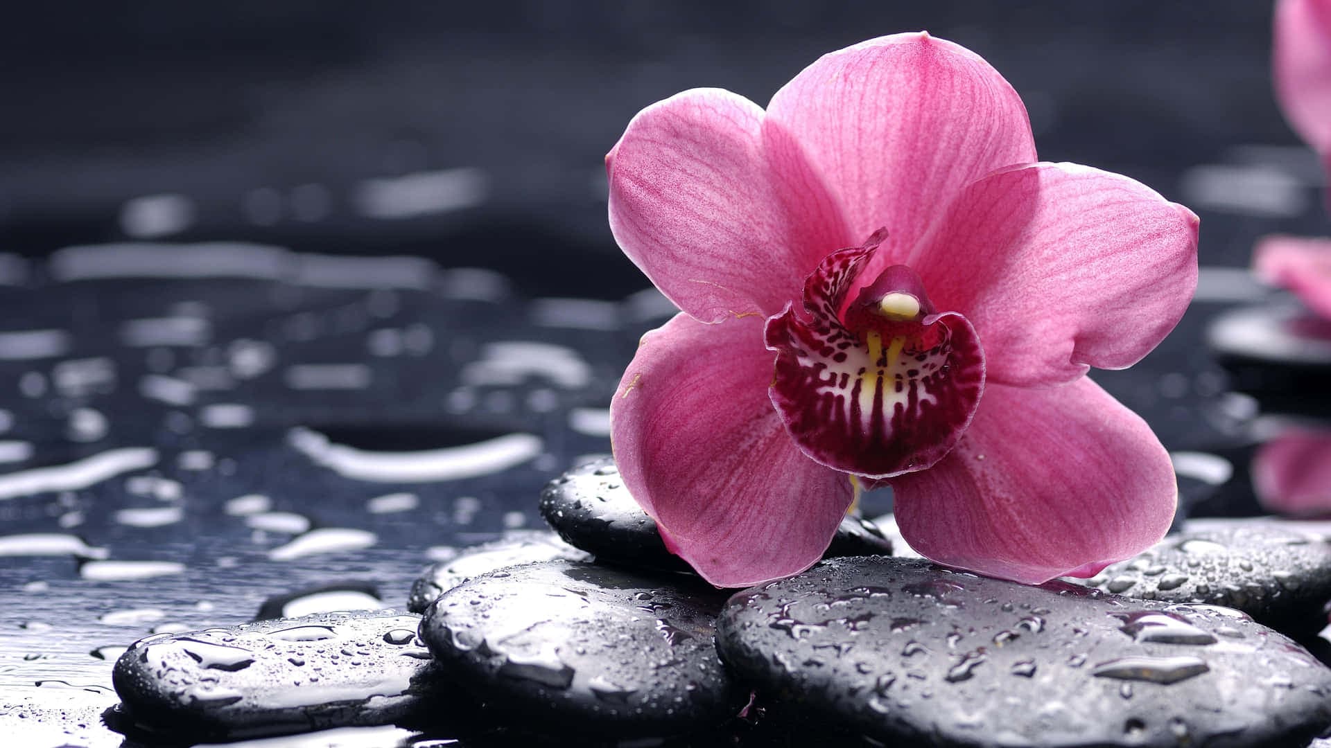 Pho Thong- Thaimassage Krumbach – Thai Massage in Ulm