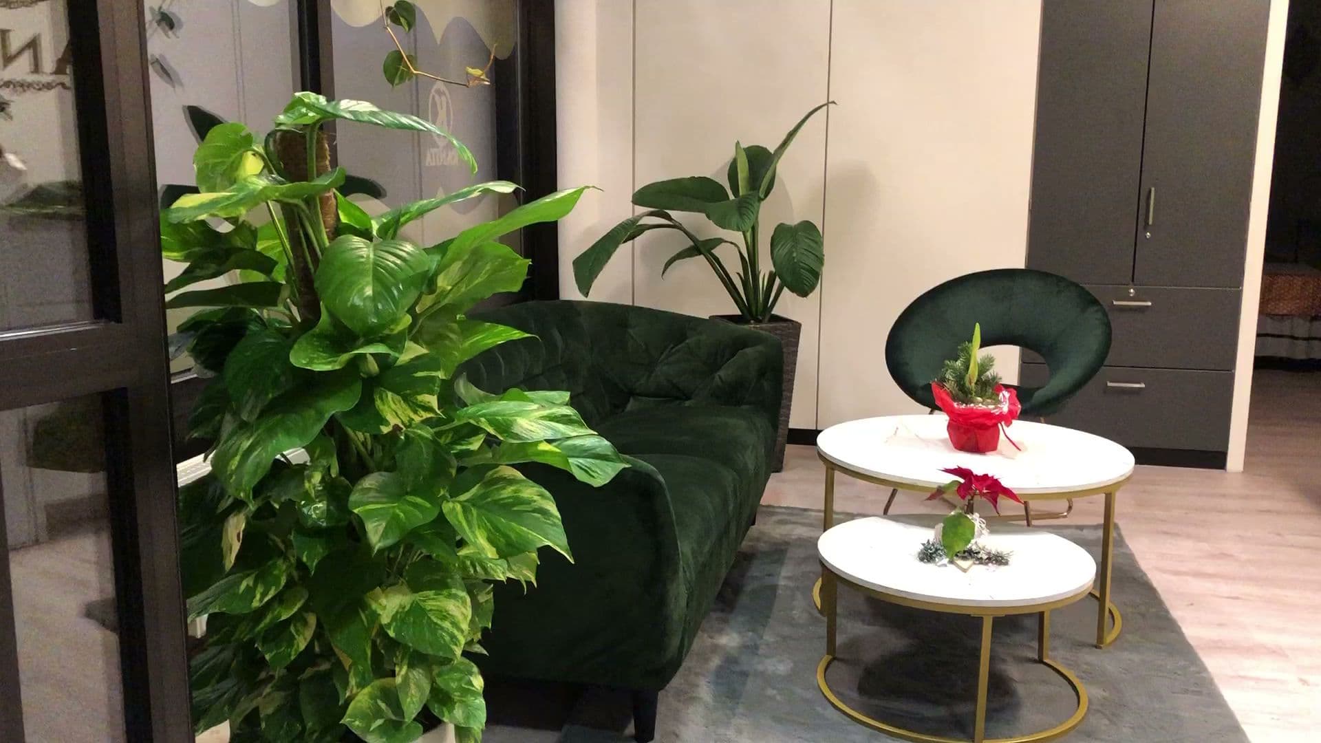 Kanita thai wellness & Beauty – Thai Massage in Heilbronn