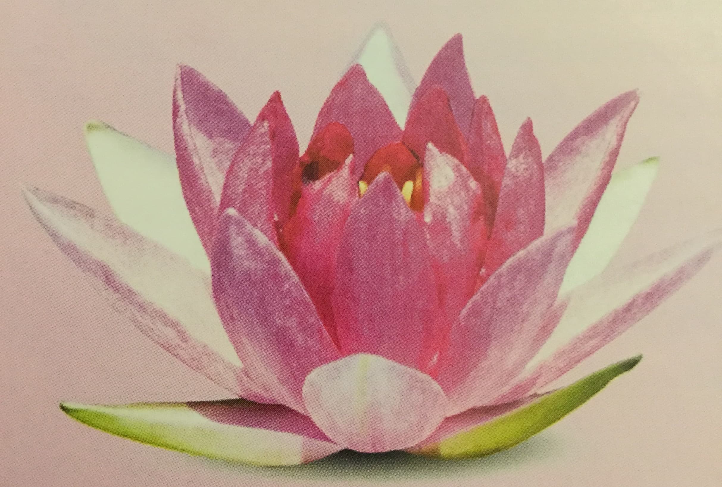 Djai Dii Thai Massage – Thai Massage in Münster