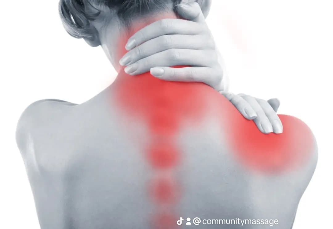 Centralasian Wellnessmassage, International body and Soul Massage therapist – Thai Massage in Köln