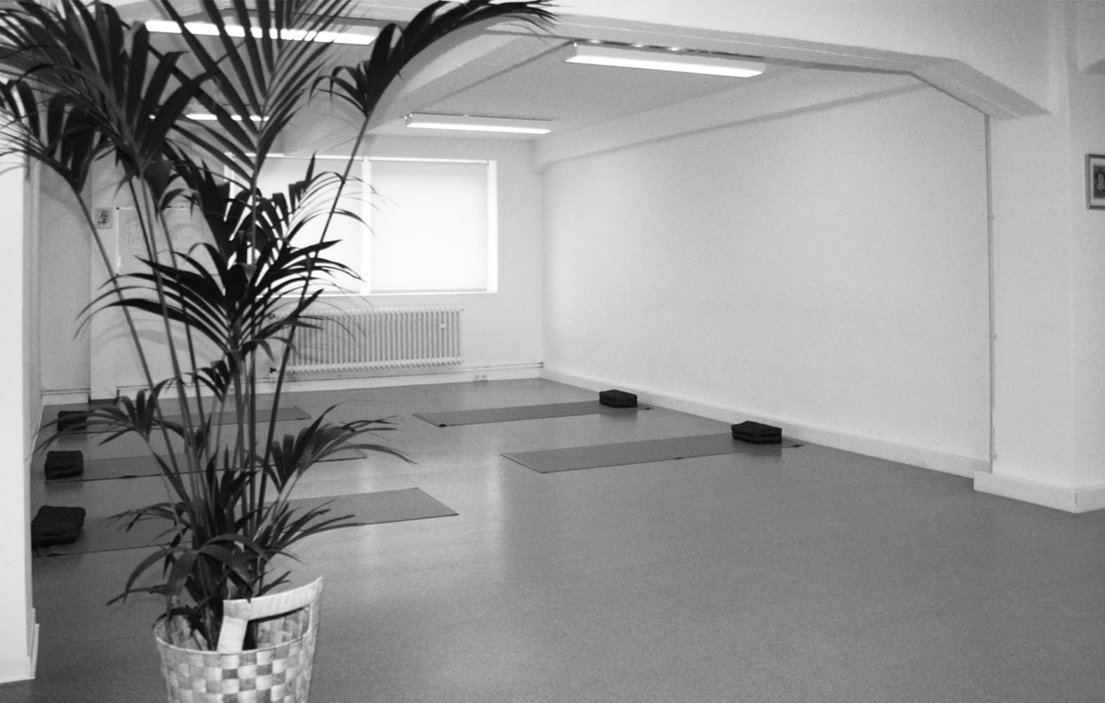 Foto 2 von dvipada Studio, Ashtanga Yoga & Thai Massage