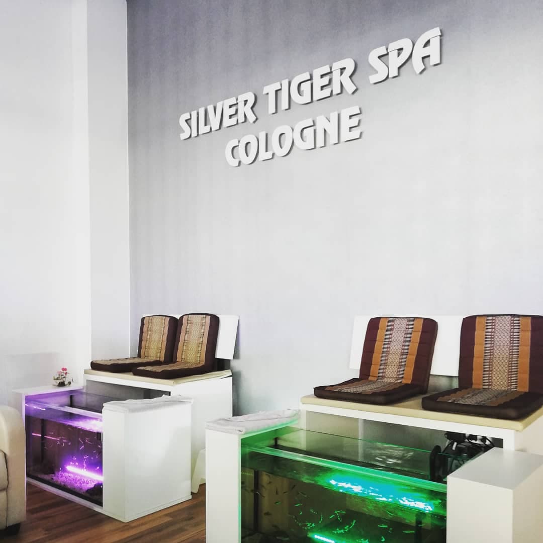 Silver Tiger Spa Cologne - Köln – Thai Massage in Köln