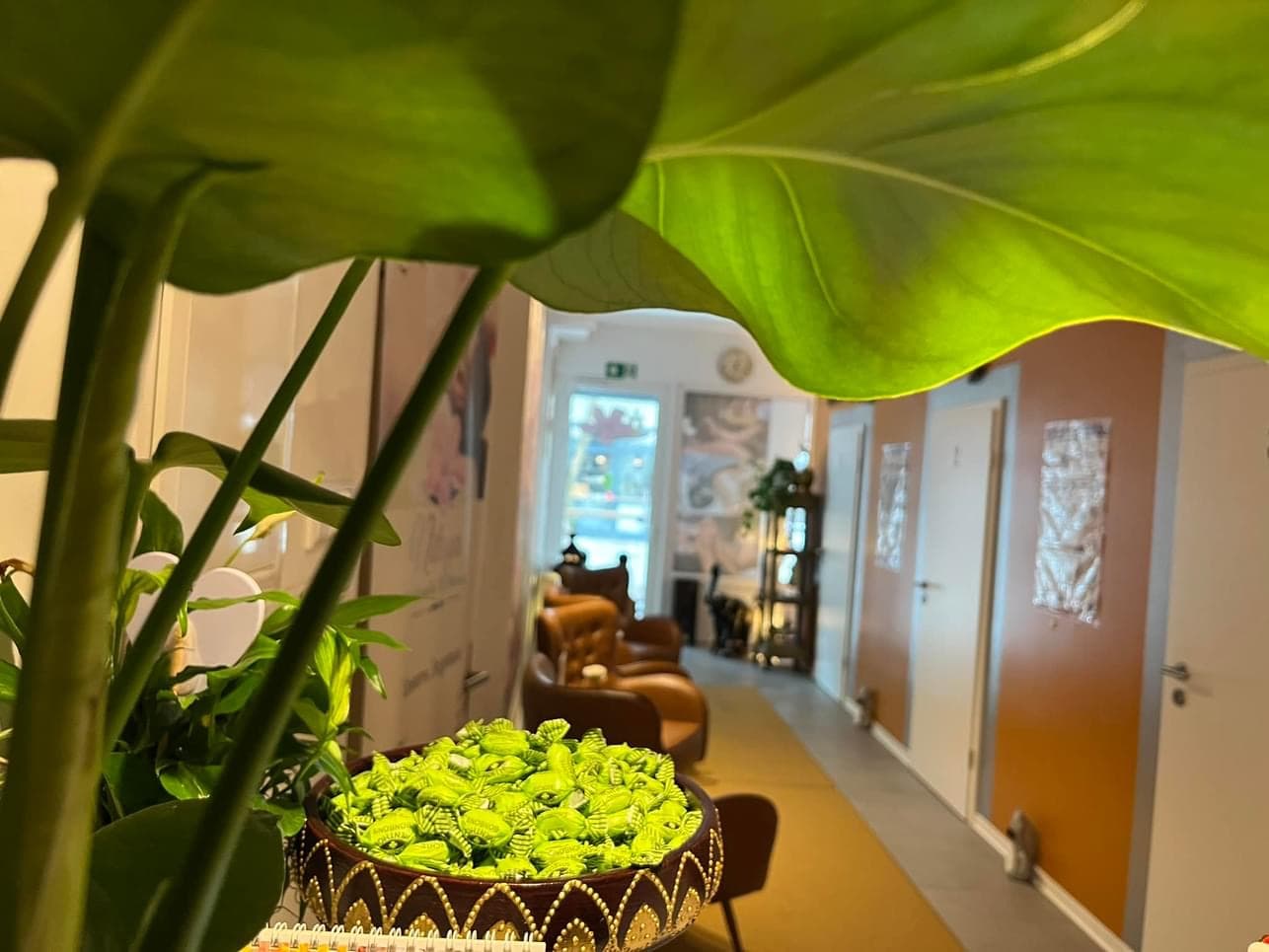 Sala Spa Thai Massage Paderborn – Thai Massage in Paderborn