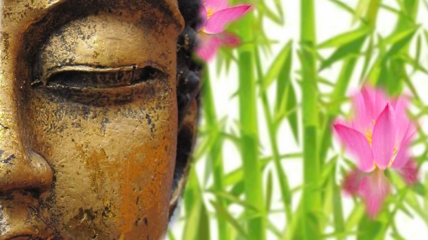 nana-thaimassage-leipzig – Thai Massage in Leipzig