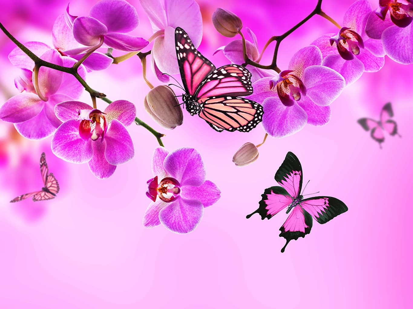 A.H. Thaimassage – Thai Massage in Aschaffenburg