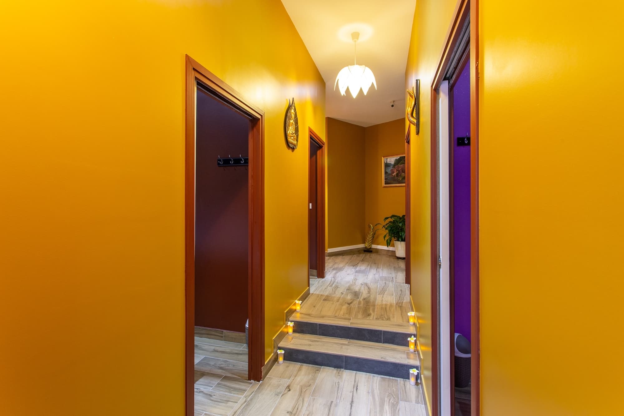 Photo 3 de NADIS SPA
