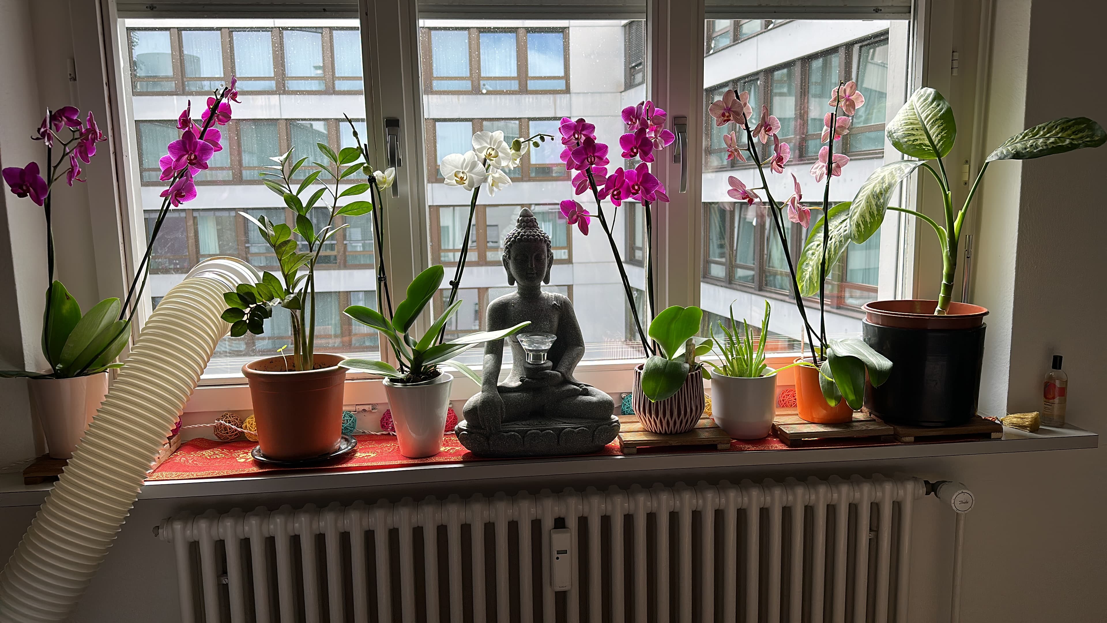 Phansa Thai Massage - Basel – Thai Massage in Basel