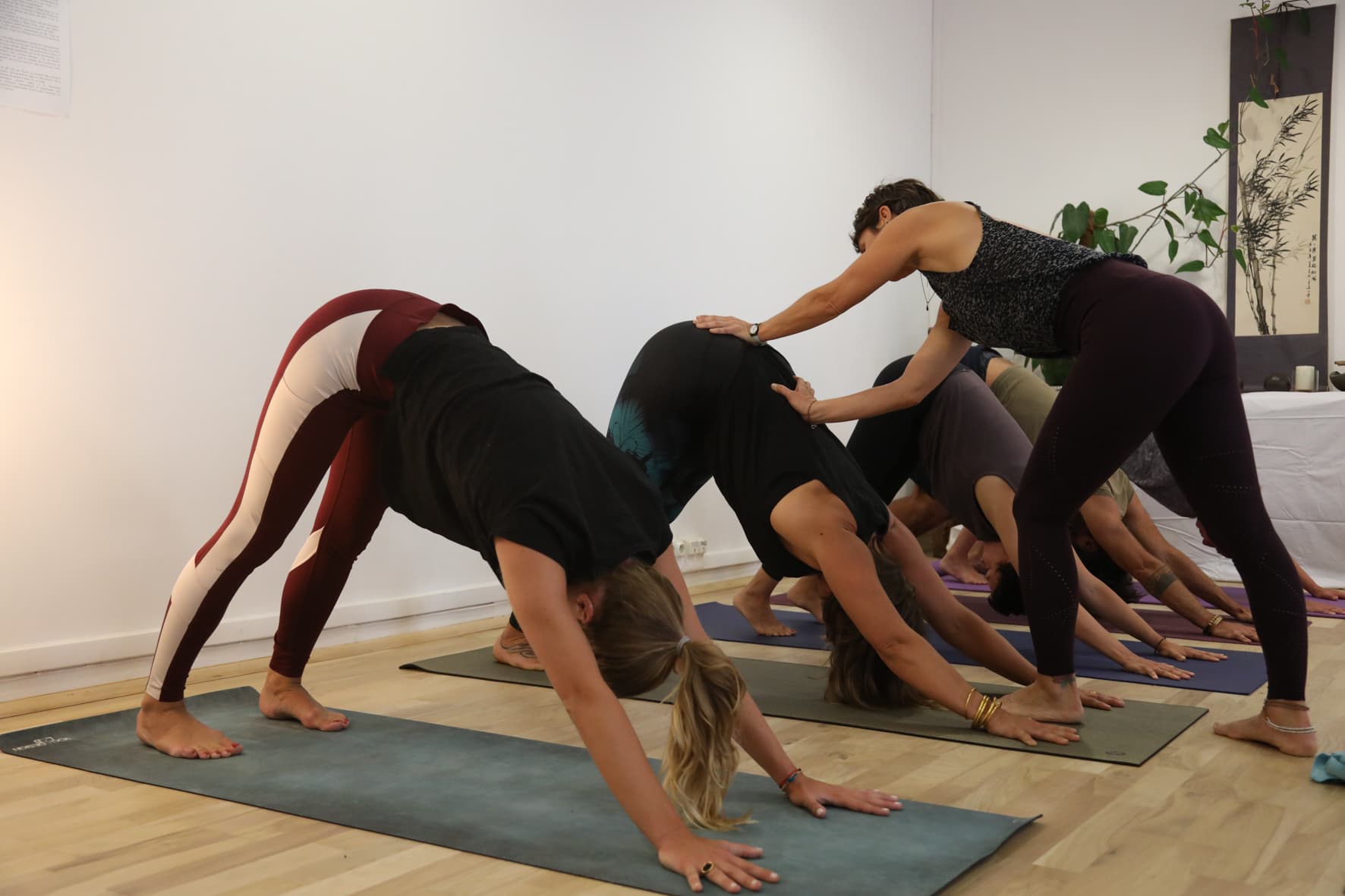 My Yoga Shala - Ashtanga – massage thaï in Marseille