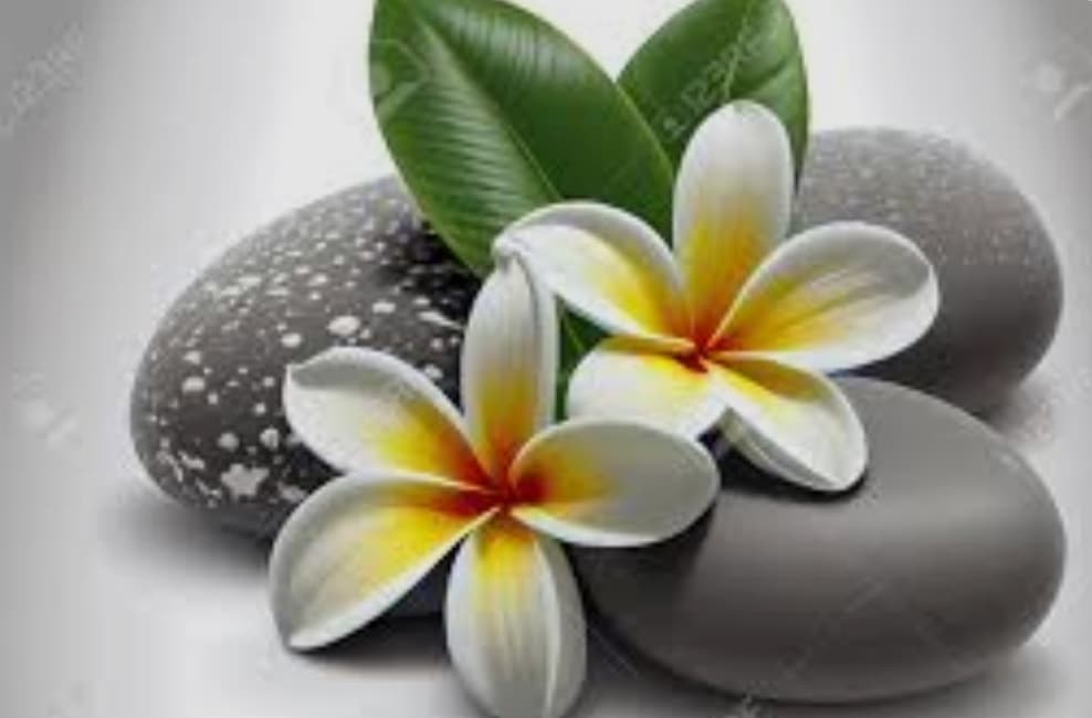 Photo 2 de Madame Nom Thai massage
