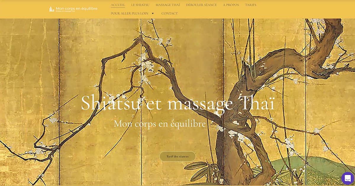 Photo 3 de Shiatsu et massage Thaï
