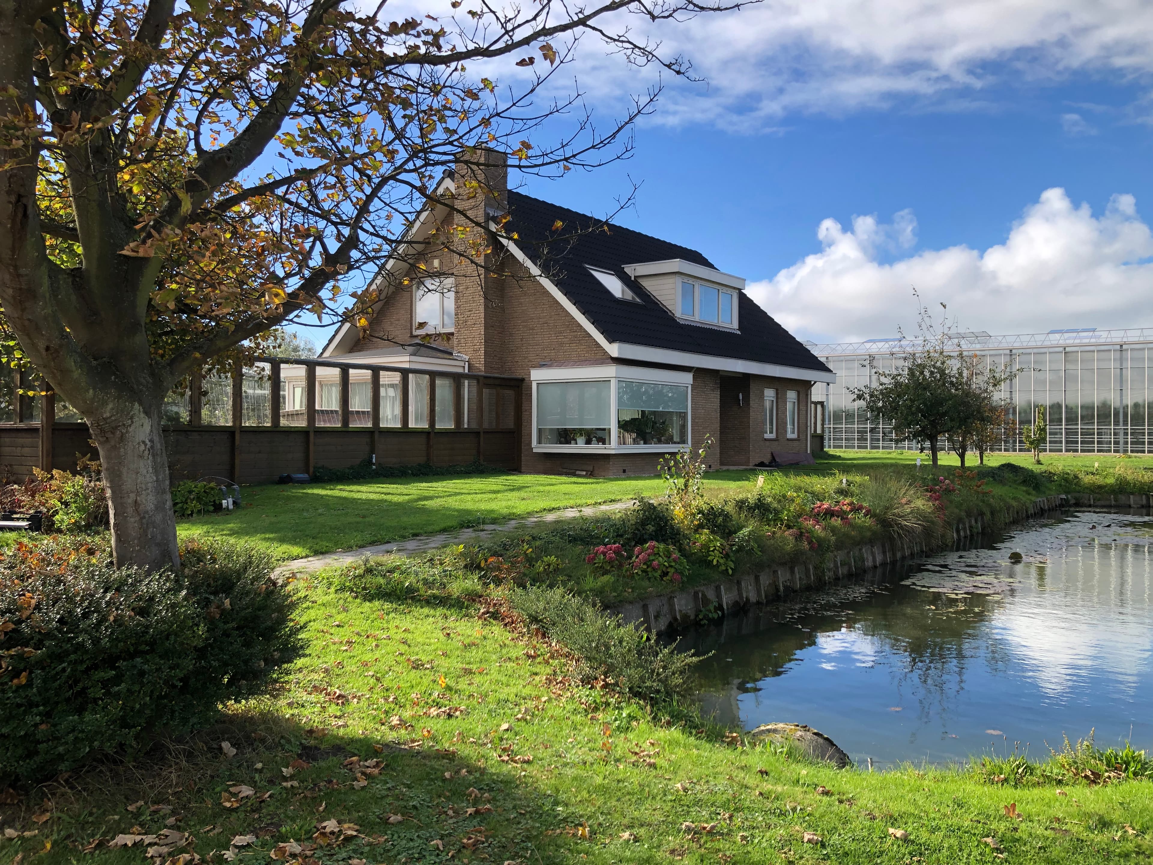 Foto 3 van Praktijk CG - Acupunctuur, Massage, Reflexologie, Kruiden & Orthomoleculair