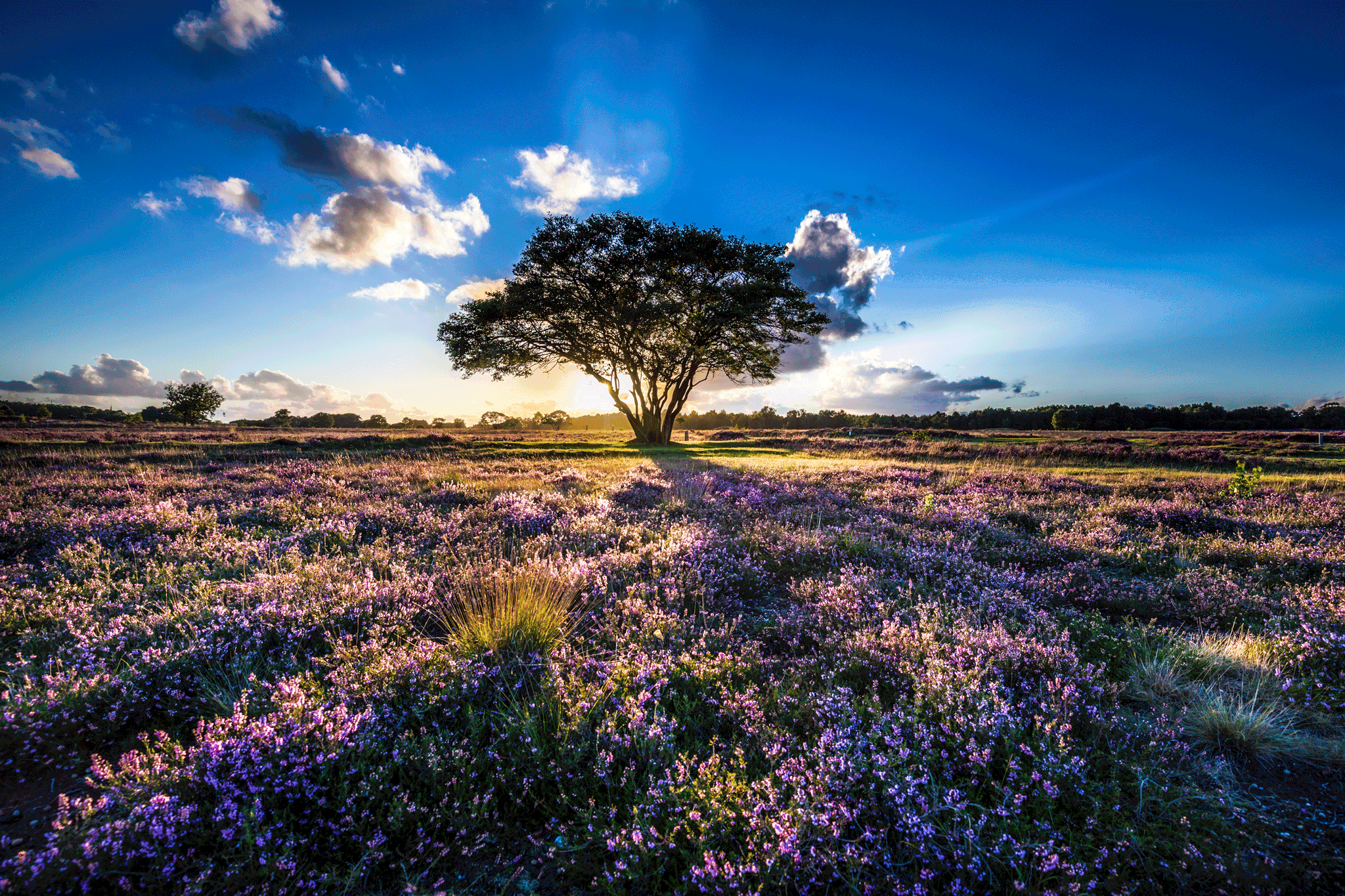 N-Joy Massage en Coaching Soest – Thaise massage in Amersfoort