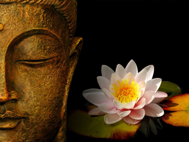 Sunie Thai Massage – Thaise massage in Antwerp