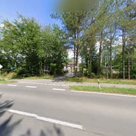 Foto 3 von Thaimassage Kalkar | Wellness Pur