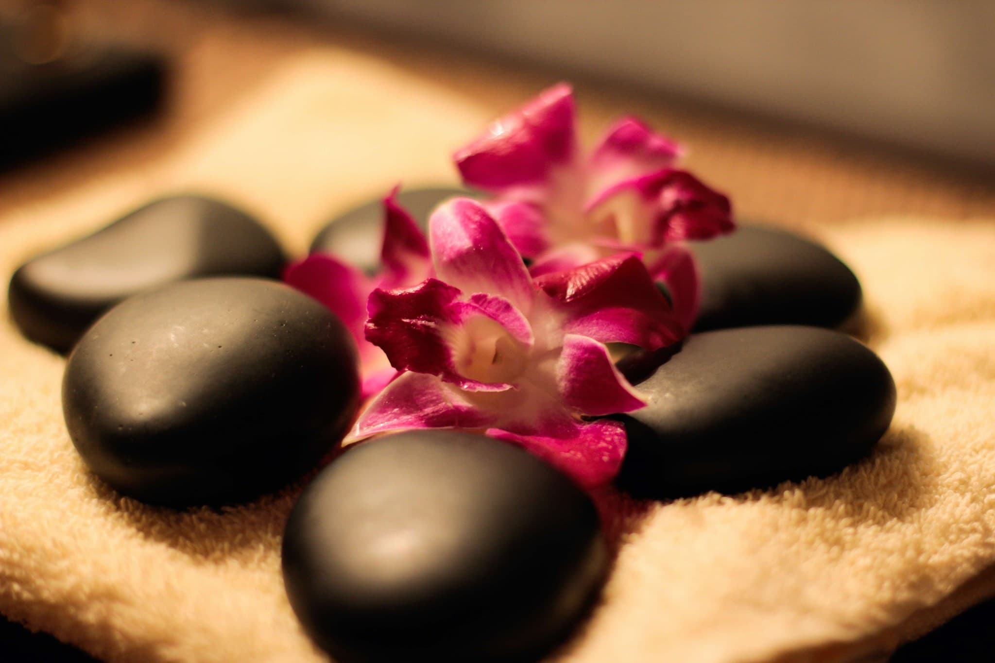 ROYAL ORCHID Thai Spa & Massage – Thai Massage in Vienna