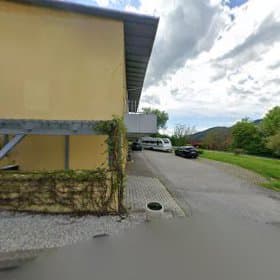 Foto 3 von Astrid Königshofer Shiatsu "Lass dich bewegen"