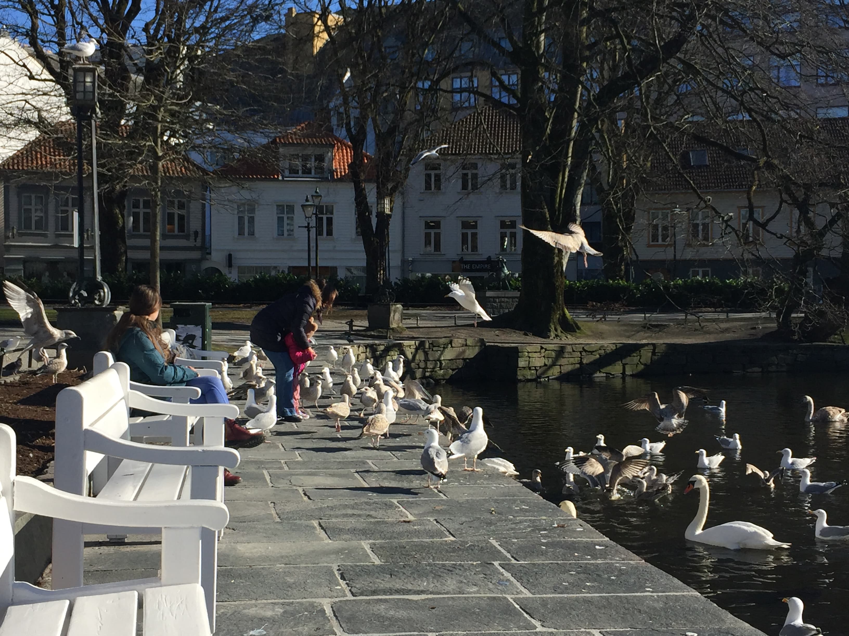Bilde 2 av AORNANOG MASSASJE