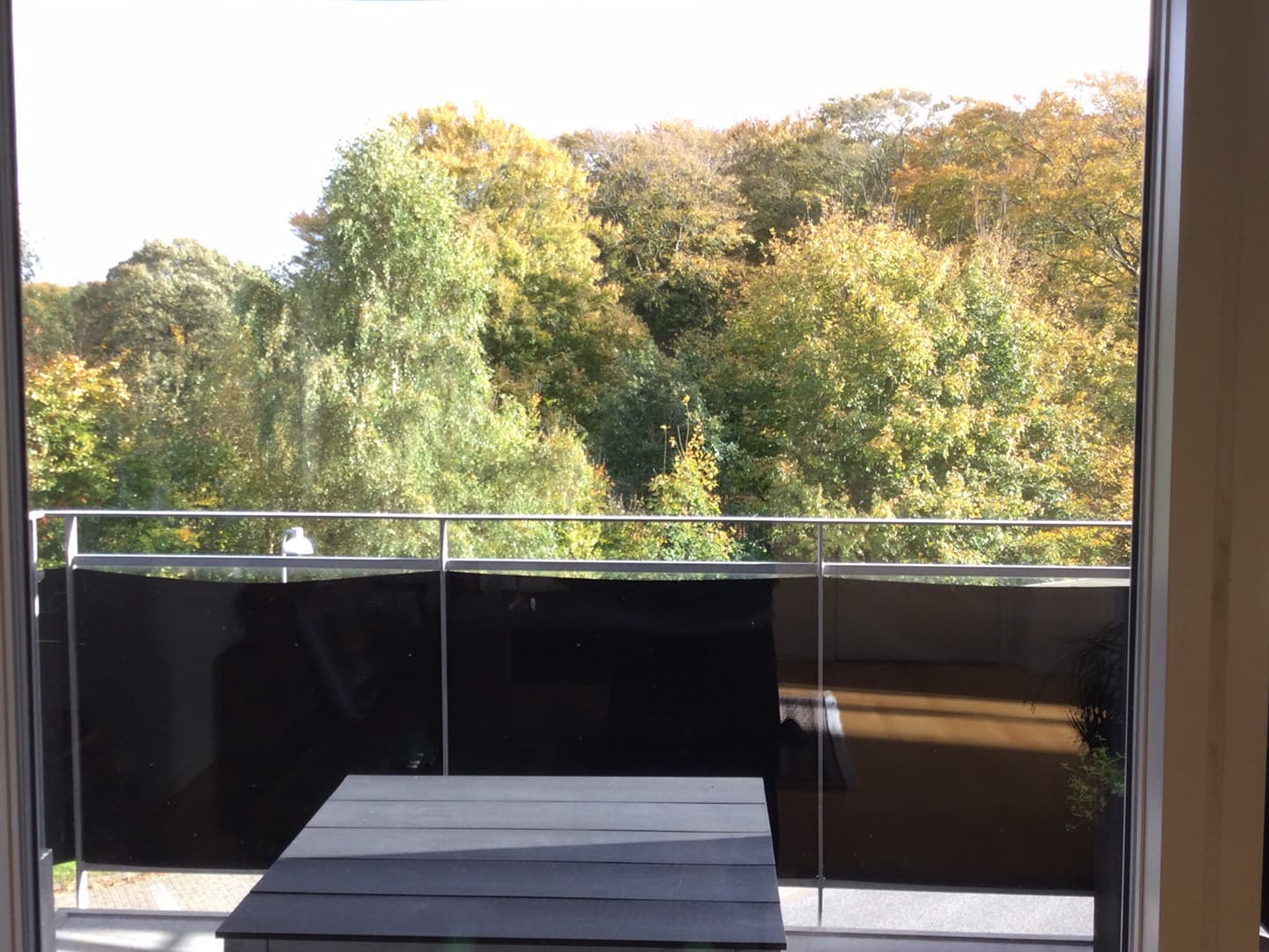 Billede 2 af Lampoo Wellness og Thai Massage