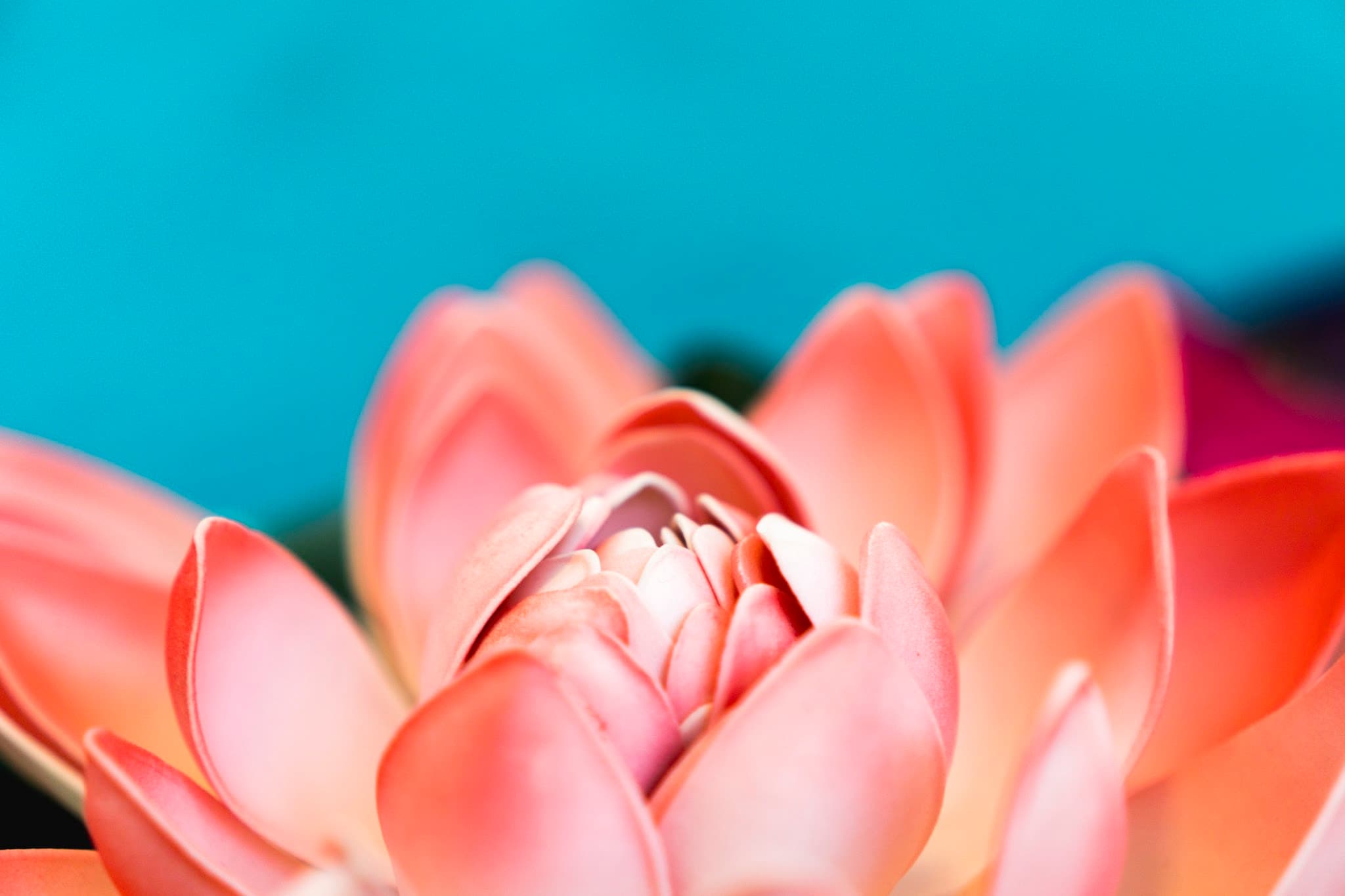 Billede 2 af Royal Thai Massage Aalborg