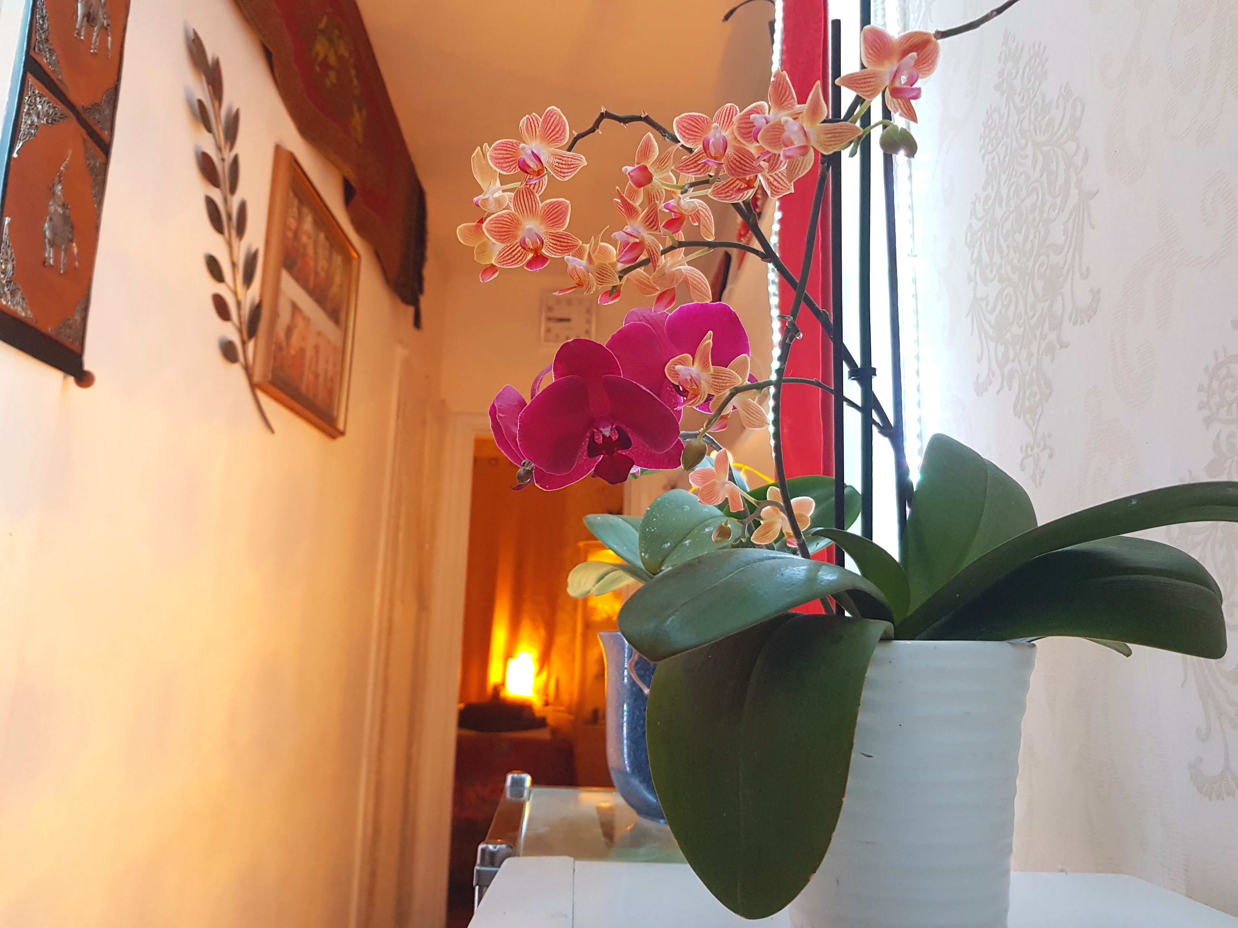 Photo 2 of D & J Beauty & Thai Spa