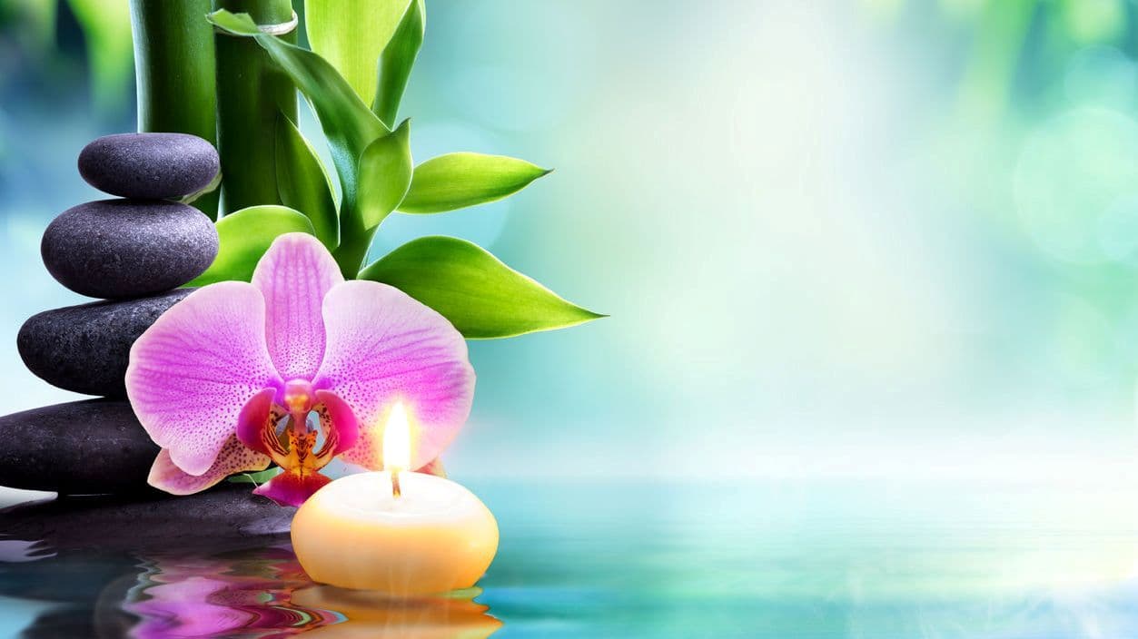 Photo 3 of Renu Thai Therapy