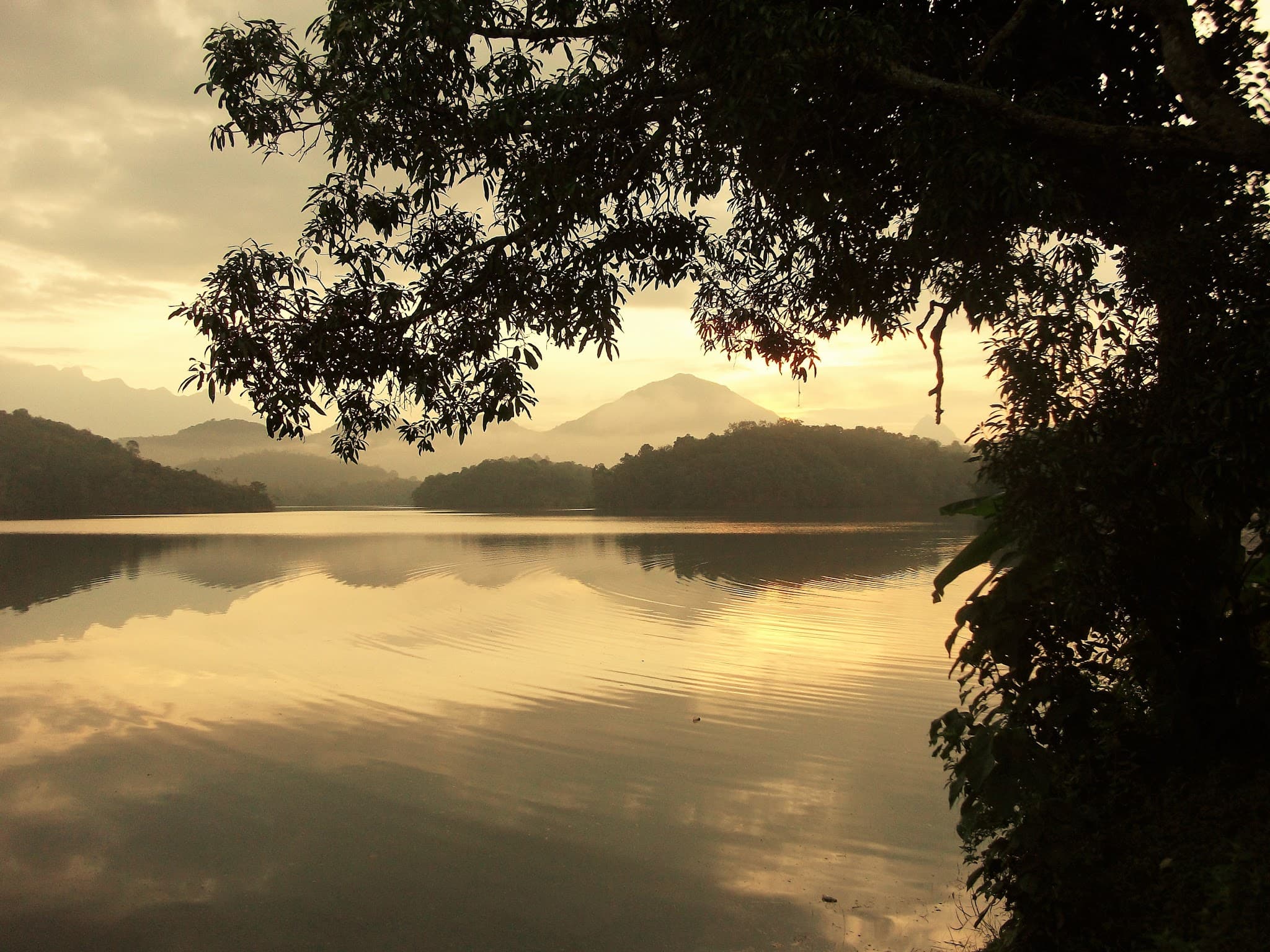Photo 3 of Where We Thrive - A holistic approach to wellbeing