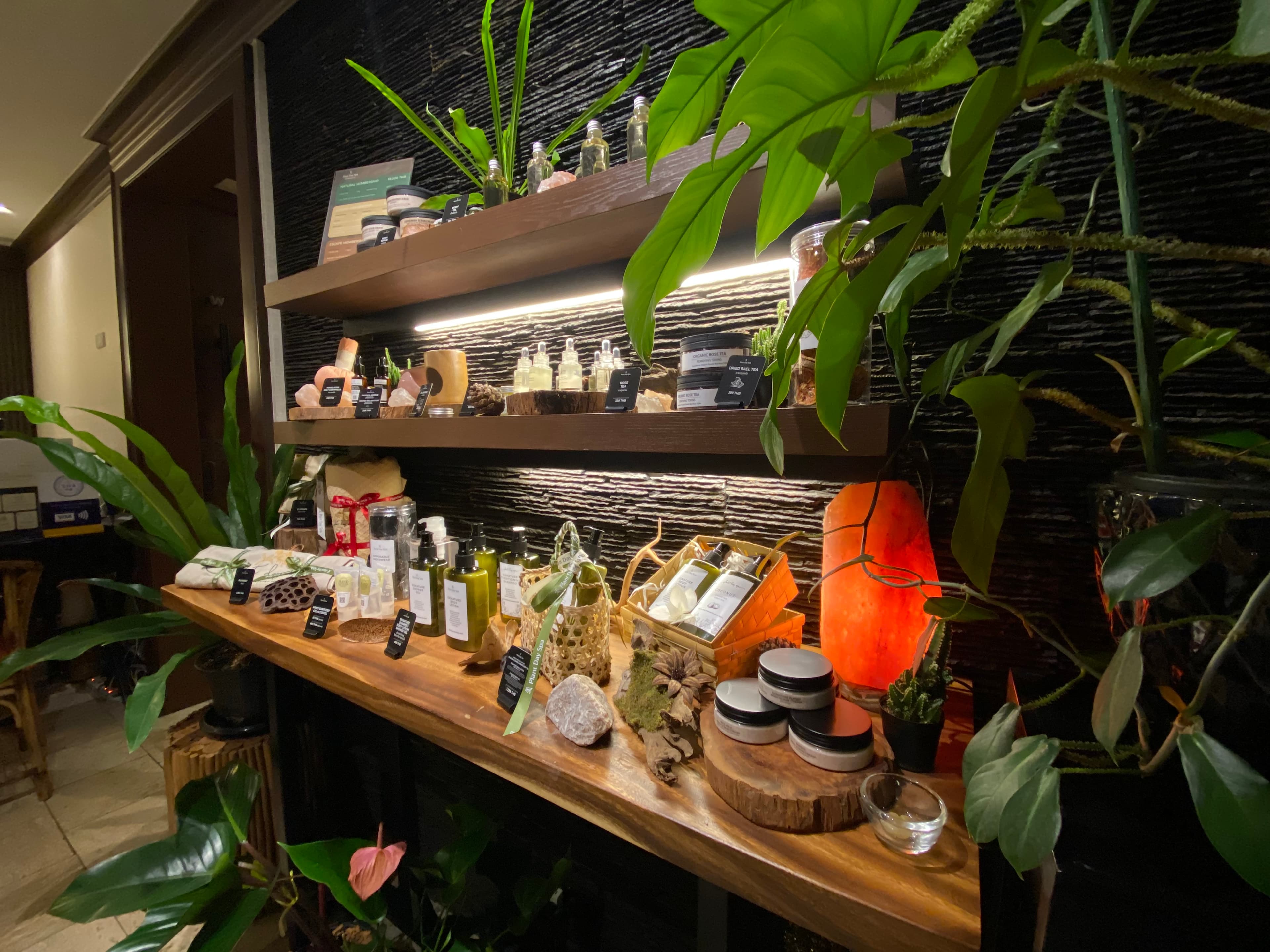ภาพ 3 ของ Plant Day Spa นวดกดจุดเพื่อสุขภาพ