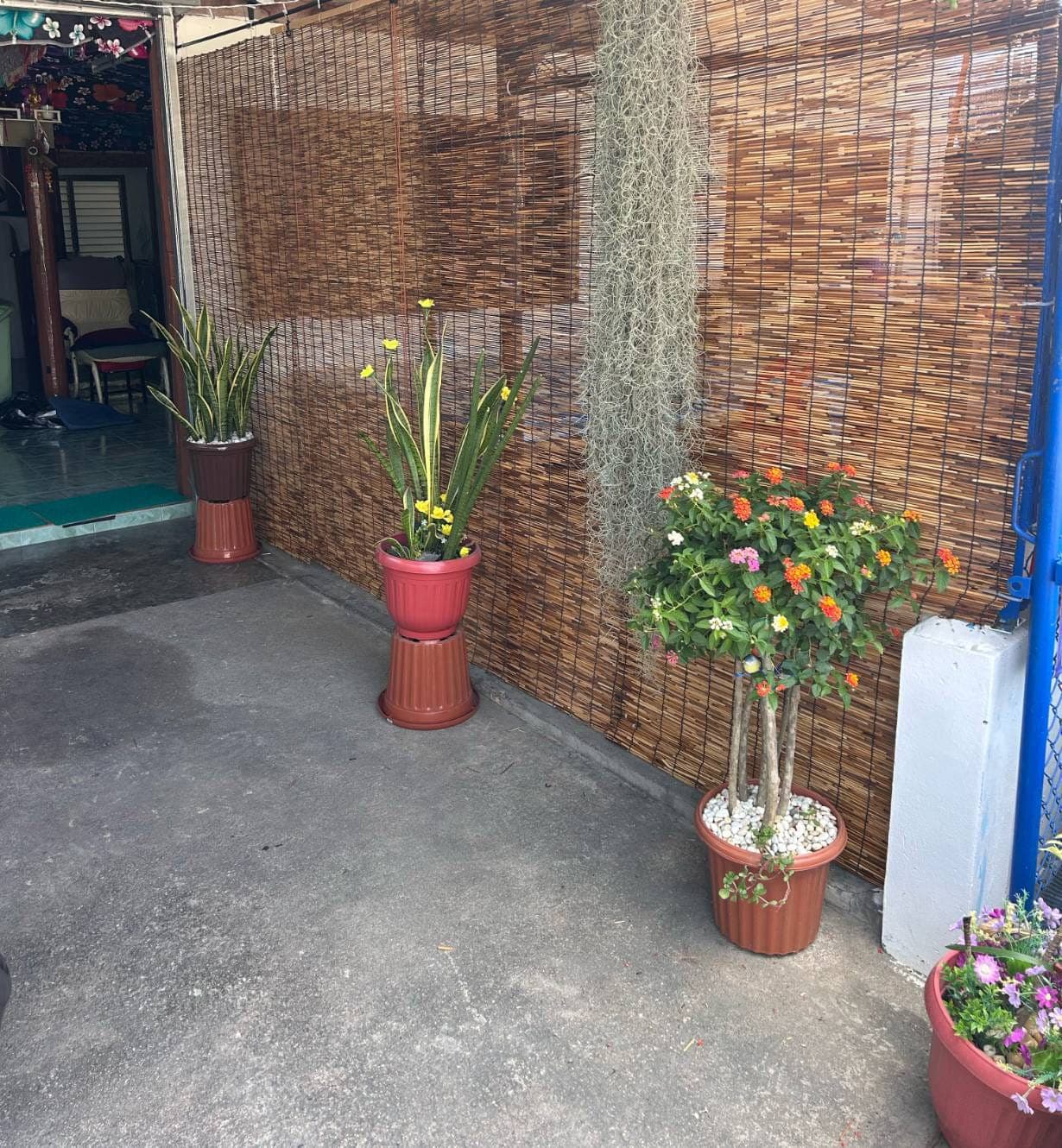 ภาพ 3 ของ Leon Thai Massage
