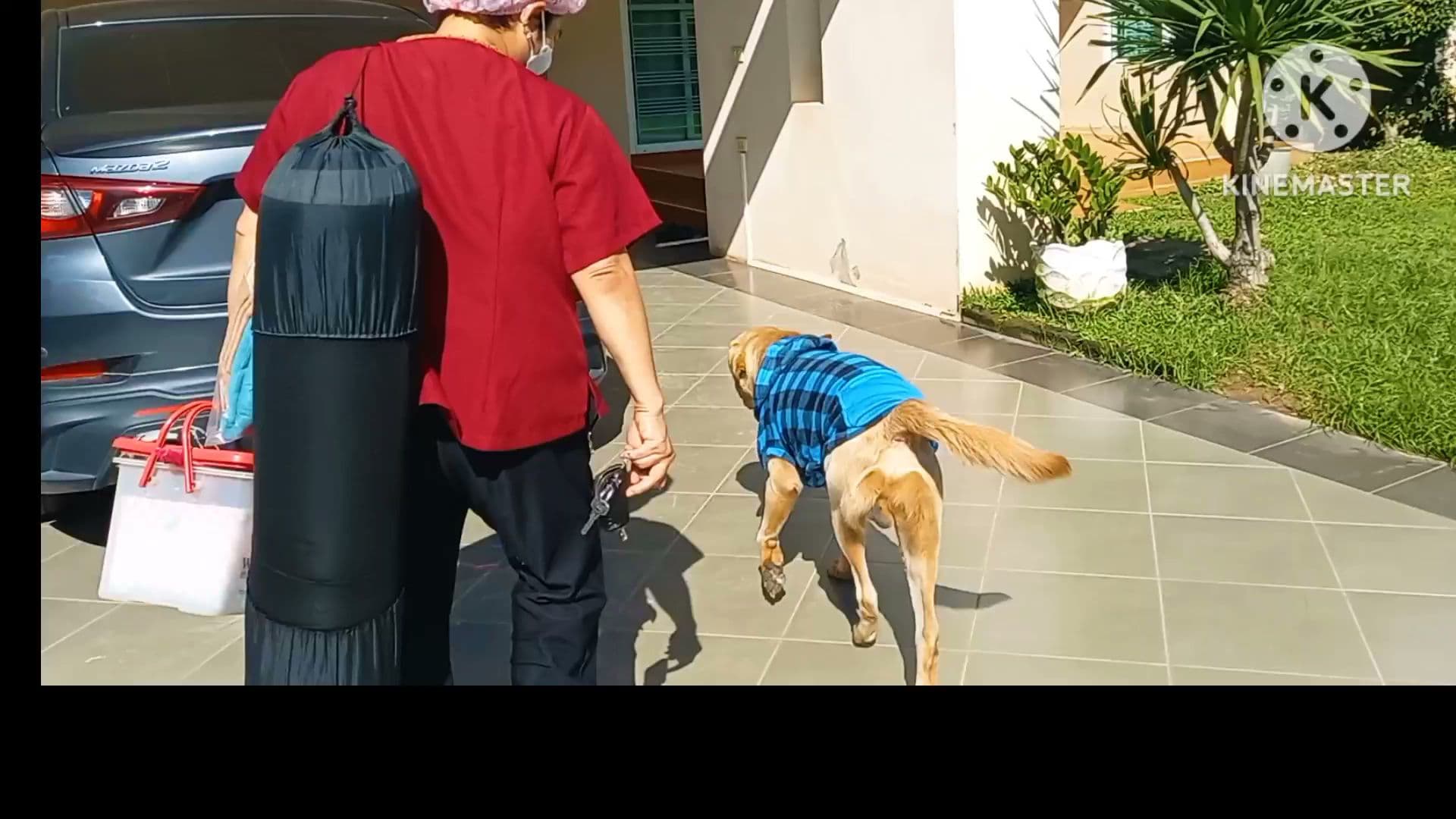 ภาพ 2 ของ หมอนวดบ้าน Home masseuse