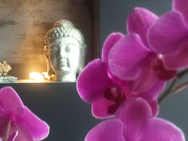 Photo 3 of MY THAI SPA Wellness & Thai Massage-Hamburg