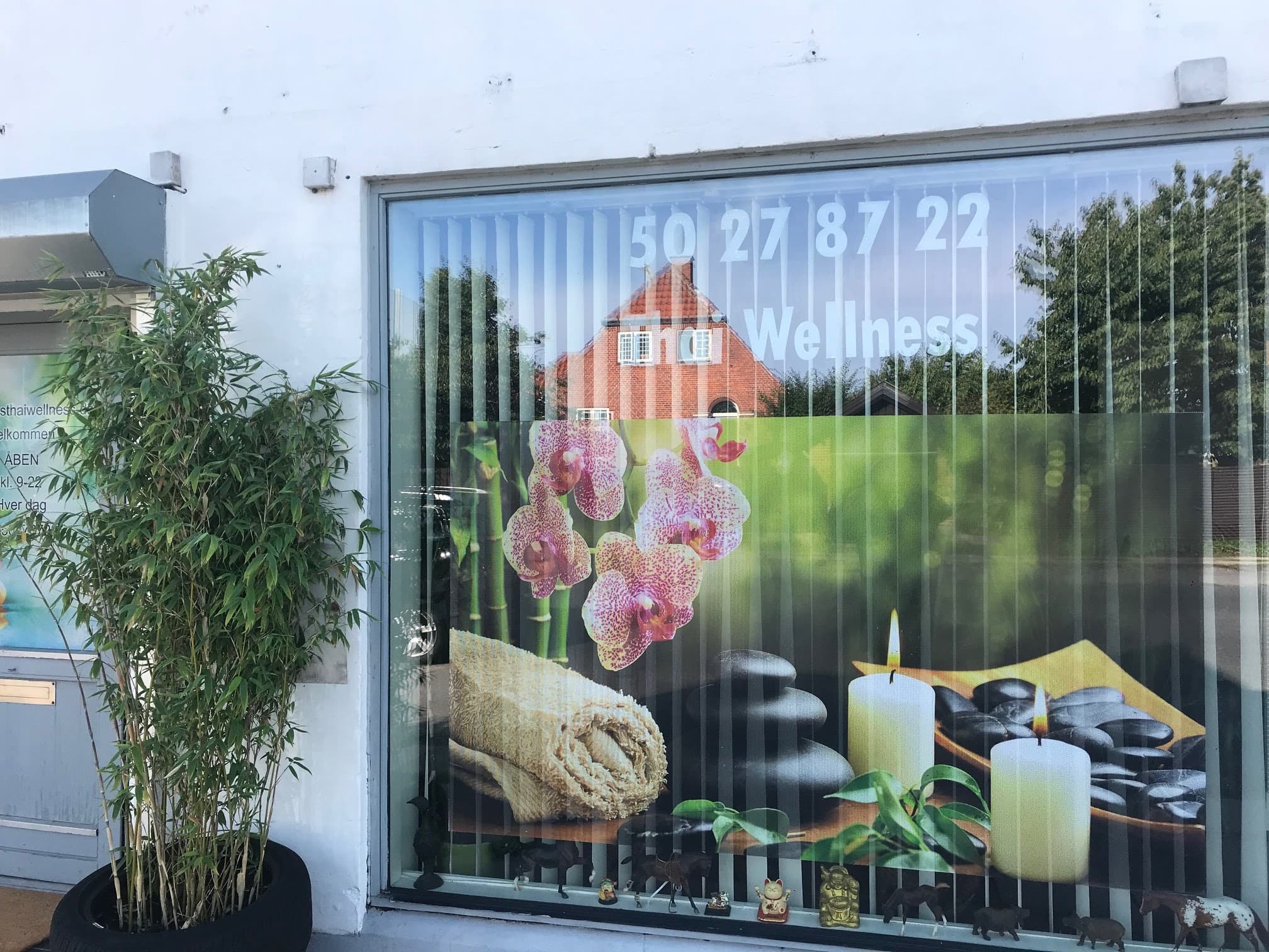 Billede 2 af Frihedens Thai Wellness