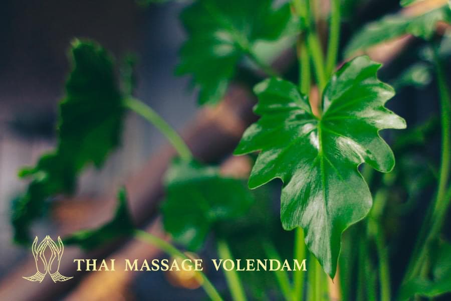 Foto 3 van Thai Massage Volendam